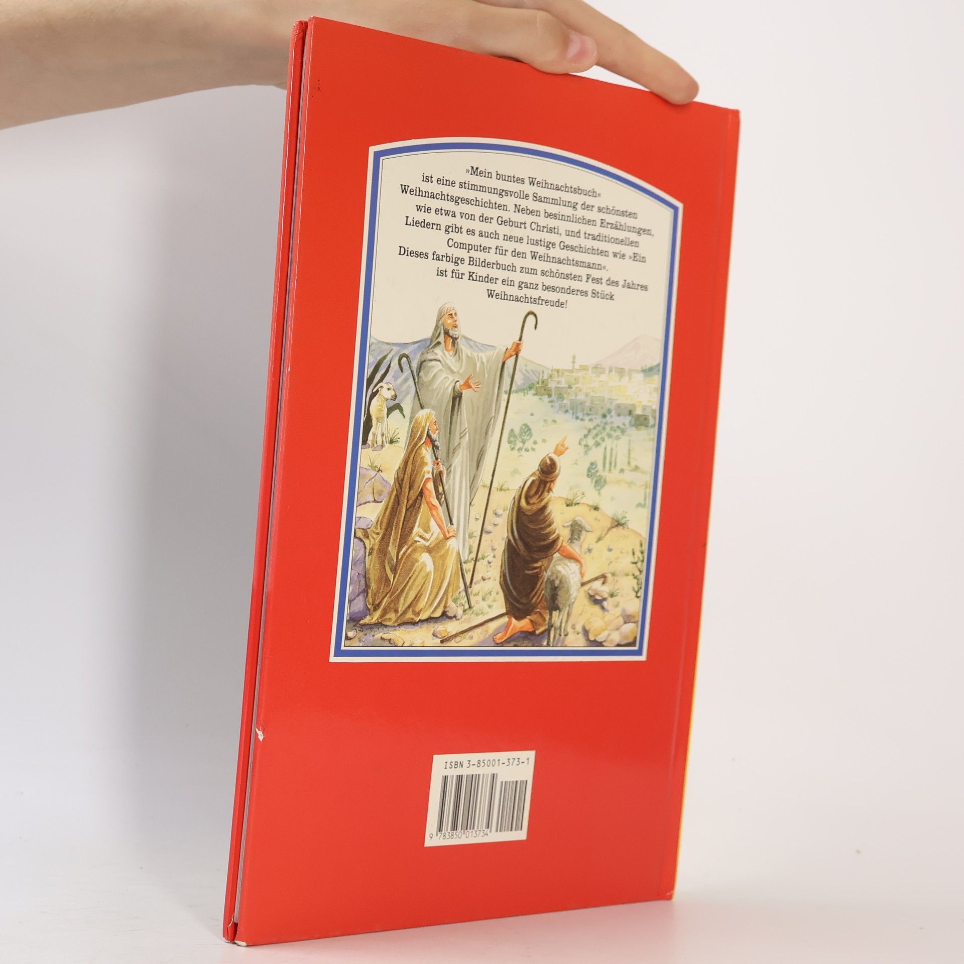 Various authors Mein buntes Weihnachts-Buch