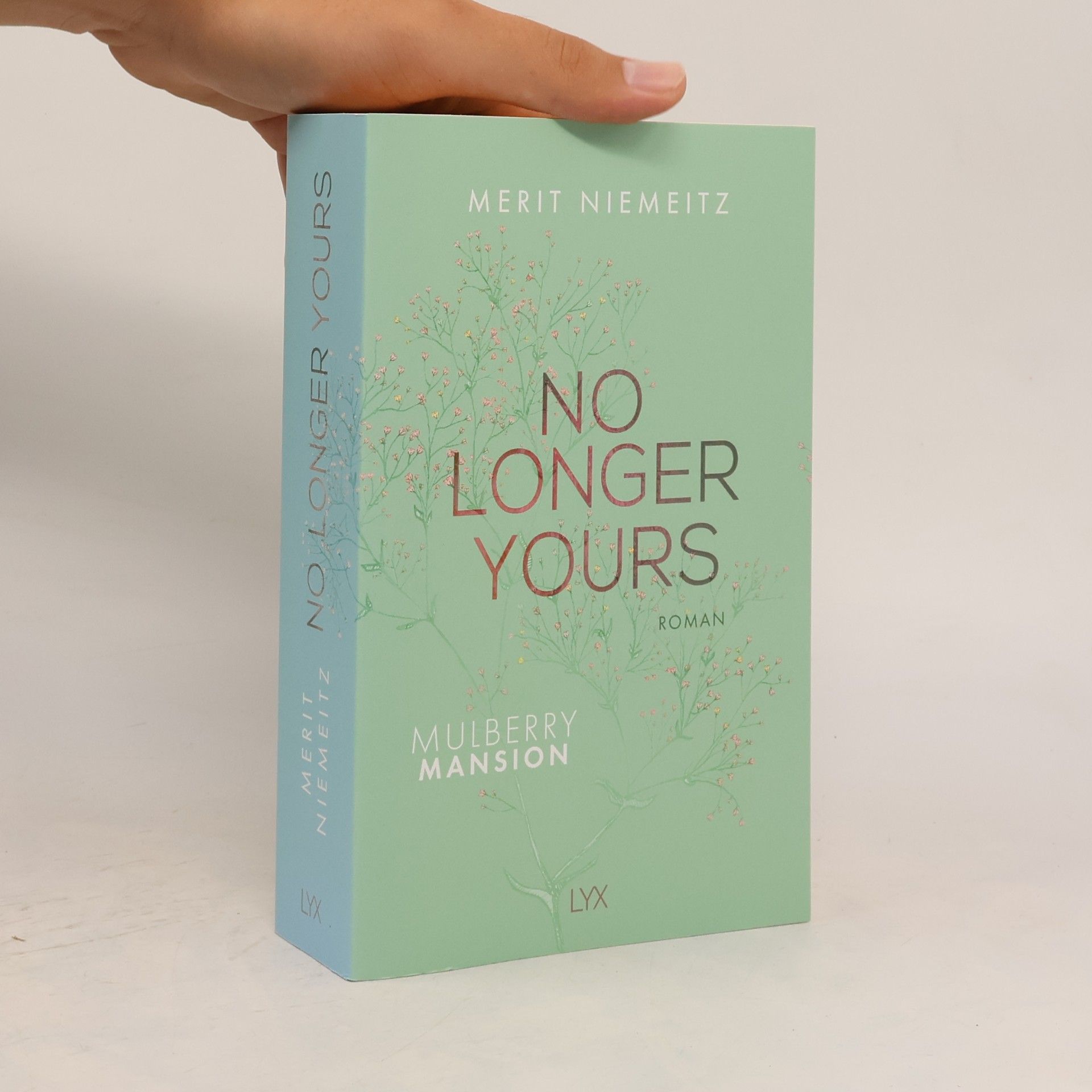 Merit Niemeitz No Longer Yours
