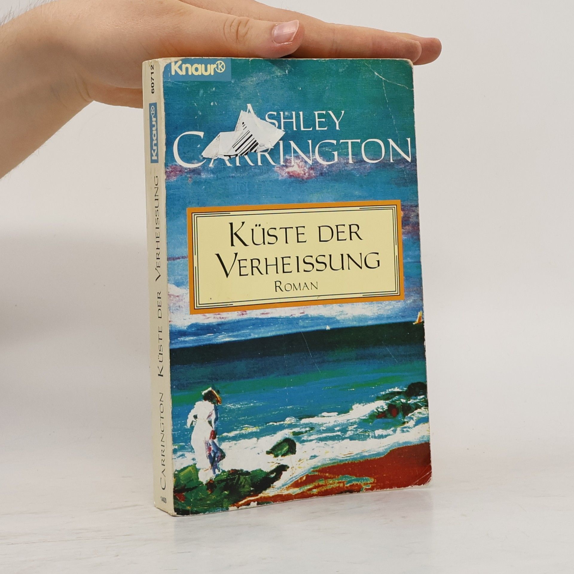 Ashley Carrington Küste der Verheißung Roman
