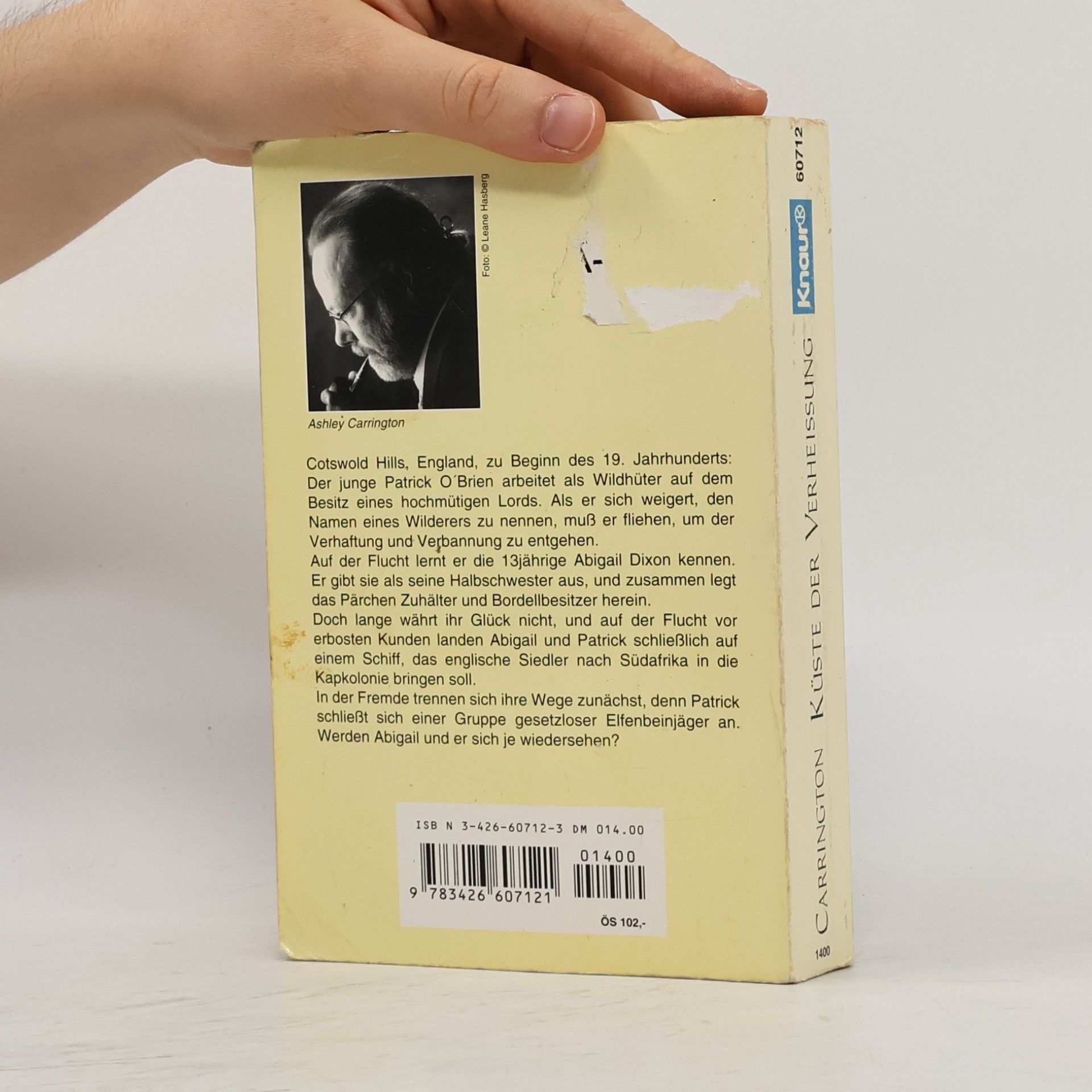 Ashley Carrington Küste der Verheißung Roman