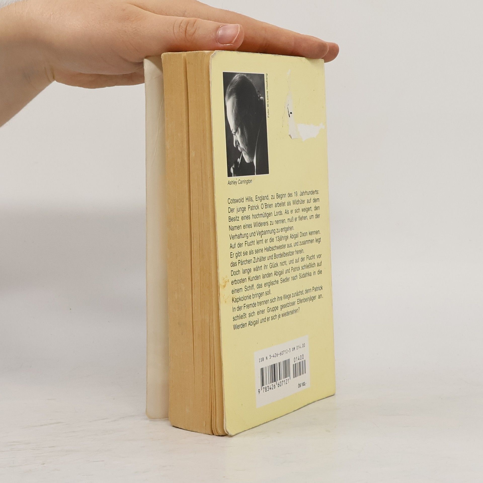 Ashley Carrington Küste der Verheißung Roman