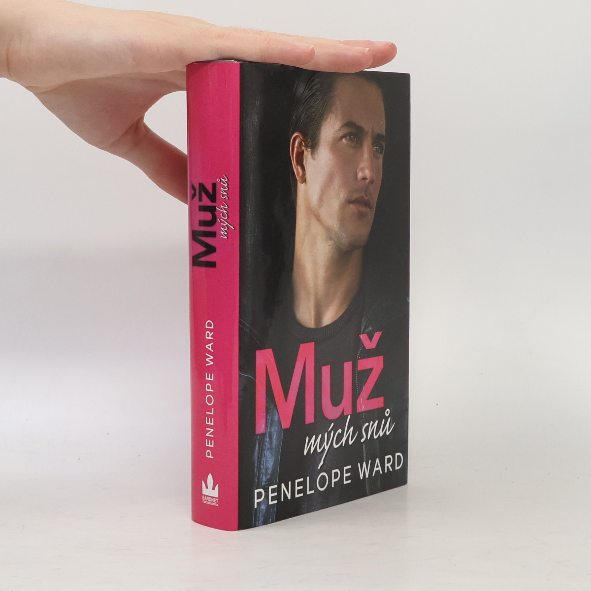 Penelope Ward Muž mých snů