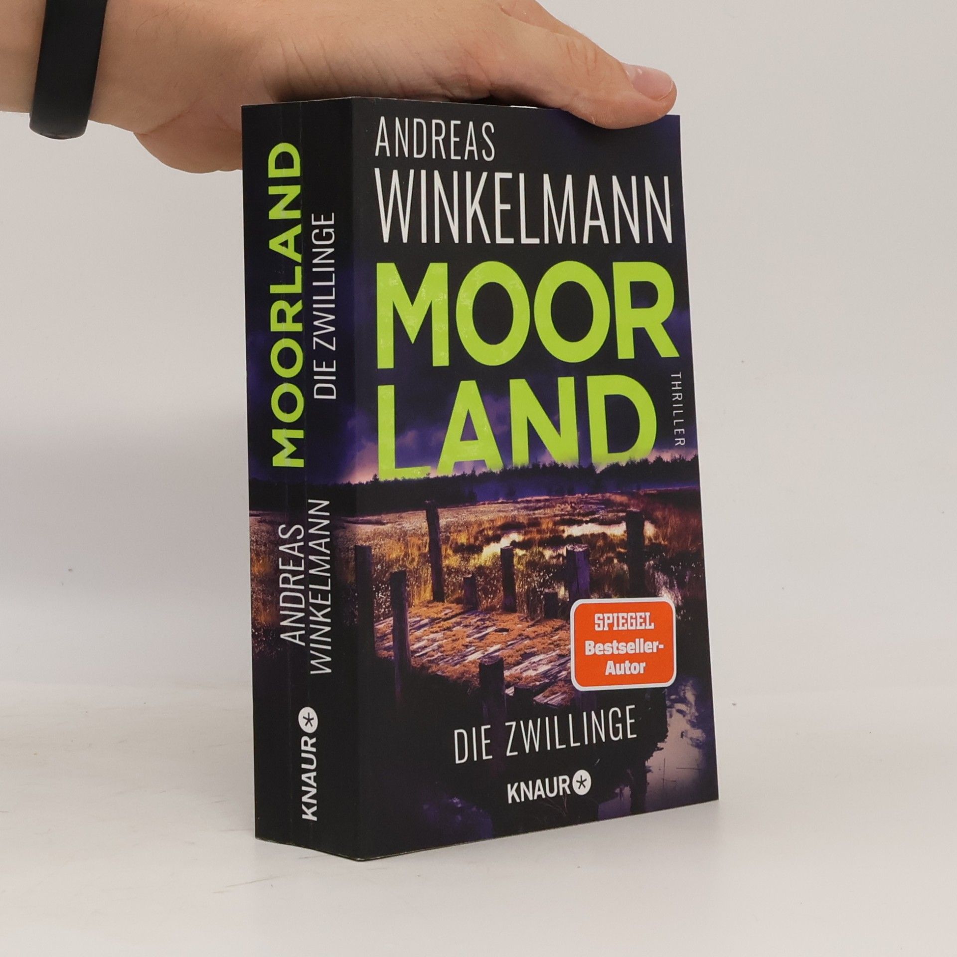 Hendrik Winter Moorland. Die Zwillinge
