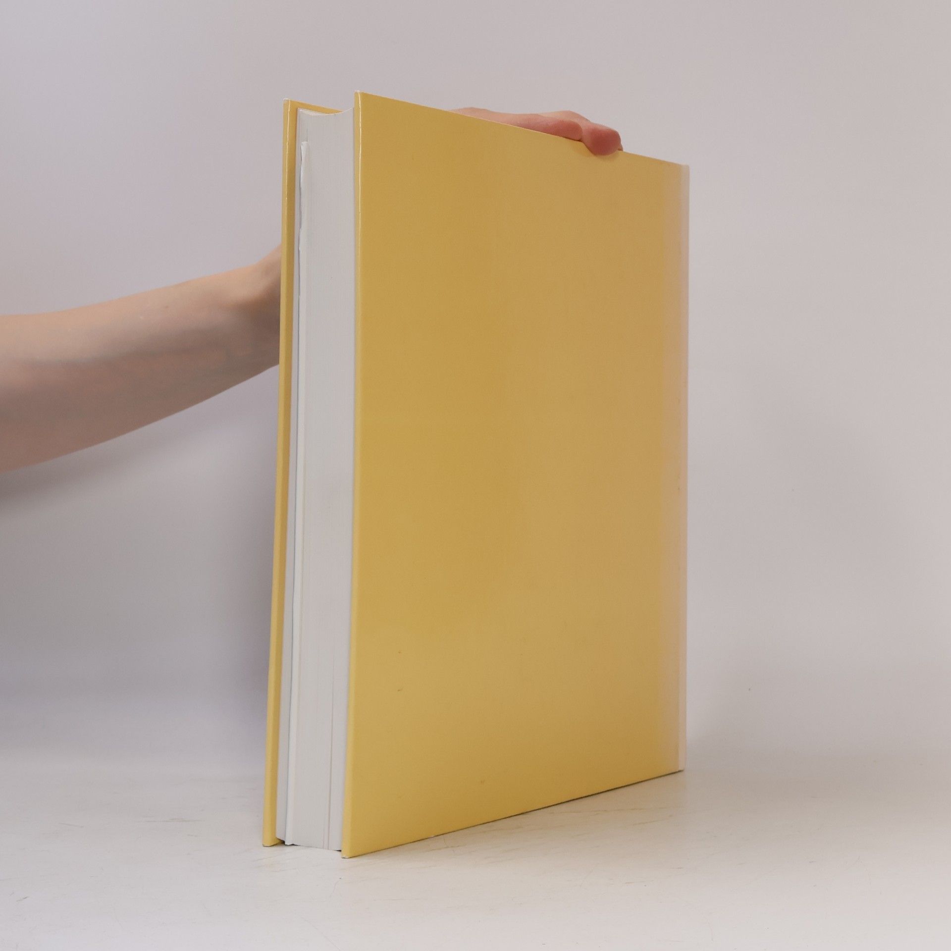 Walter Pötzl Kunstgeschichte 6. Der Landkreis Augsburg