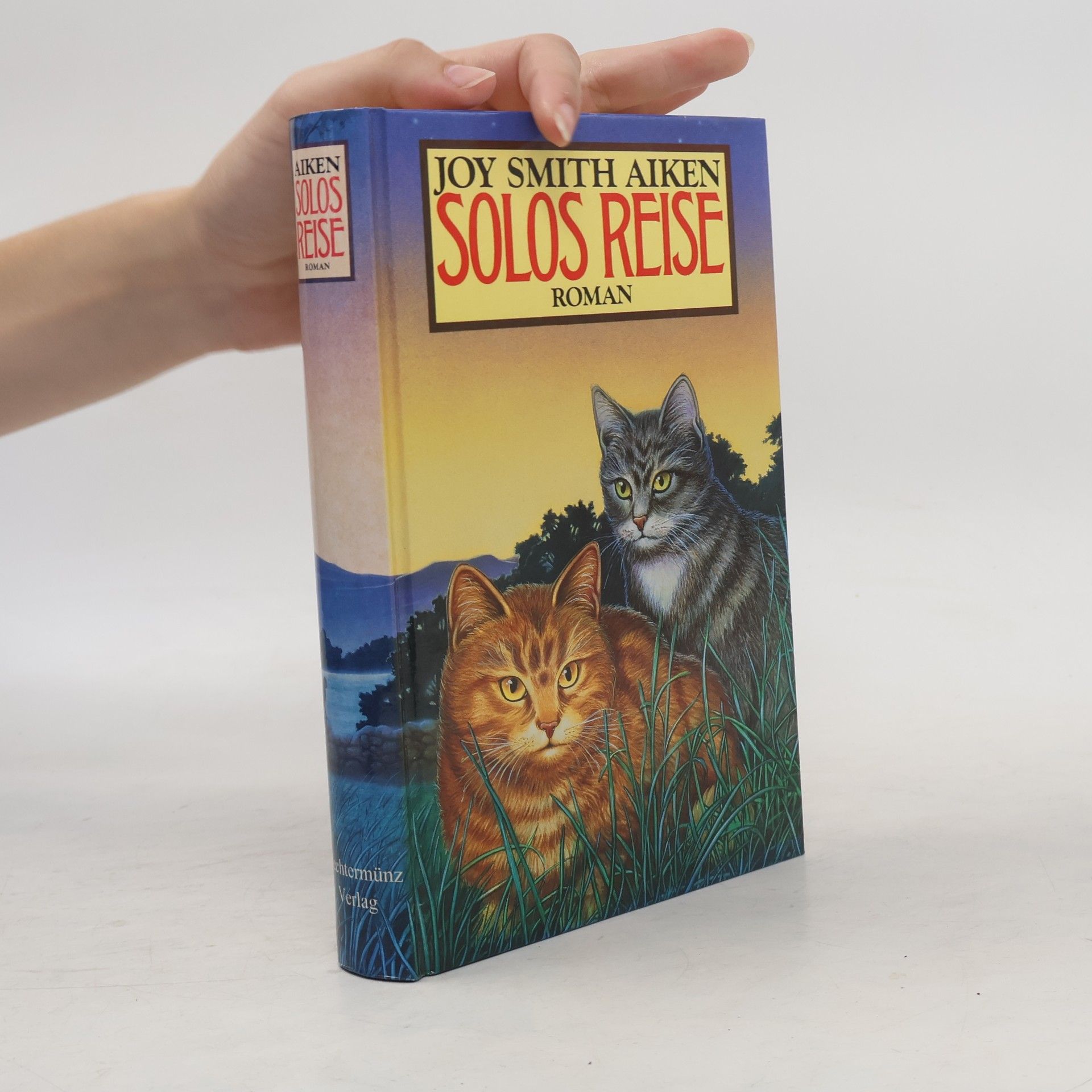 Joy Aiken Smith Solos Reise