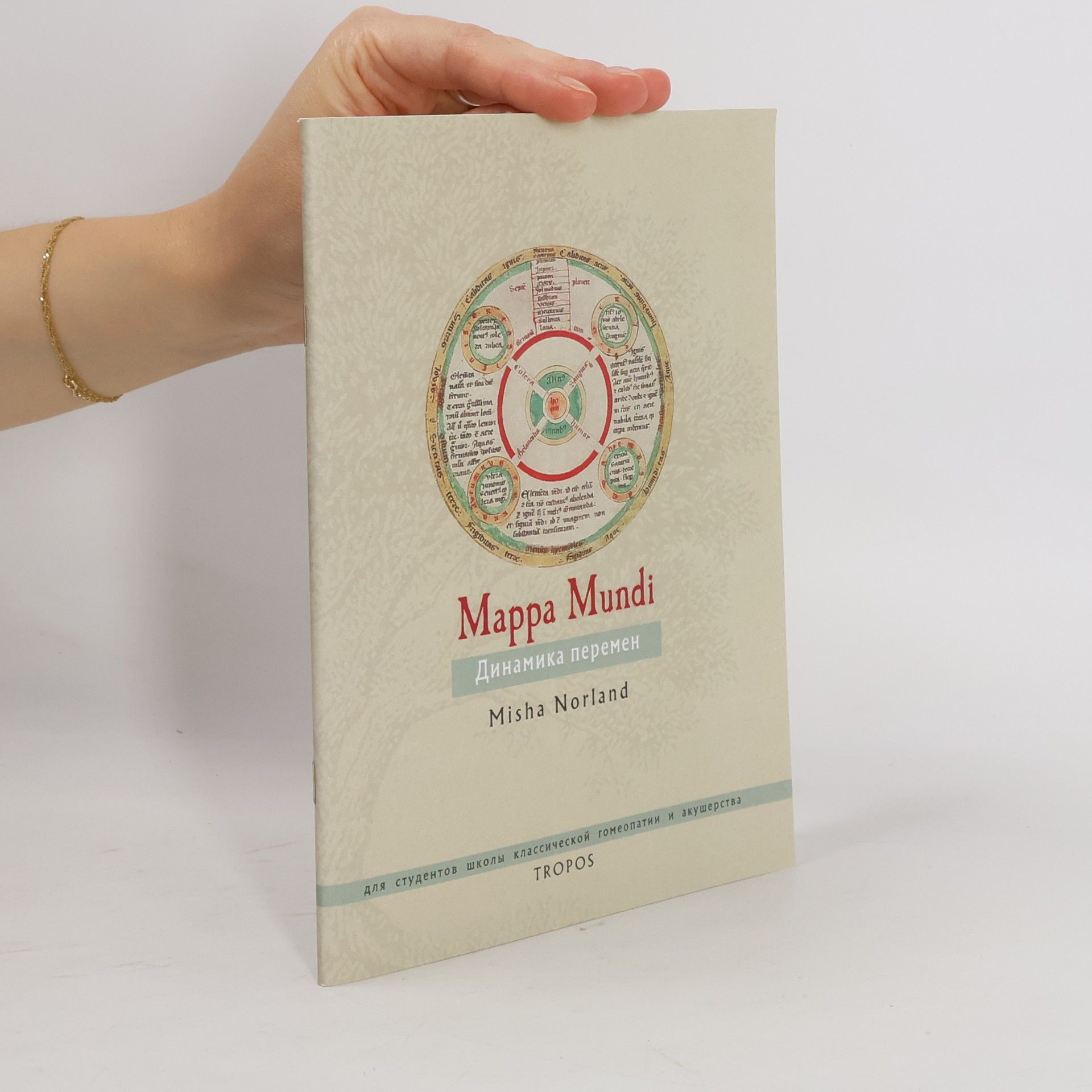 Misha Norland Mappa Mundi. Динамика перемен