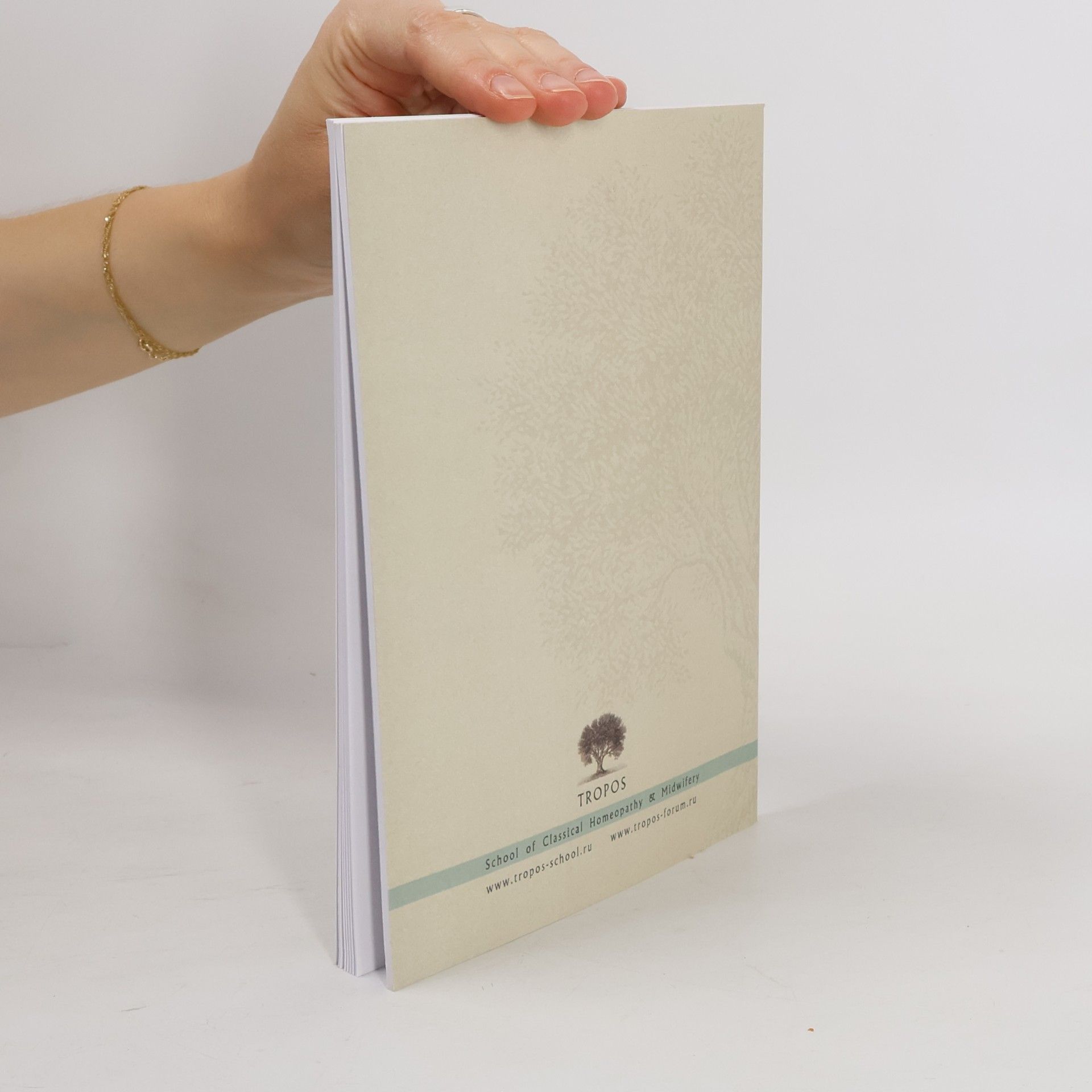 Misha Norland Mappa Mundi. Динамика перемен