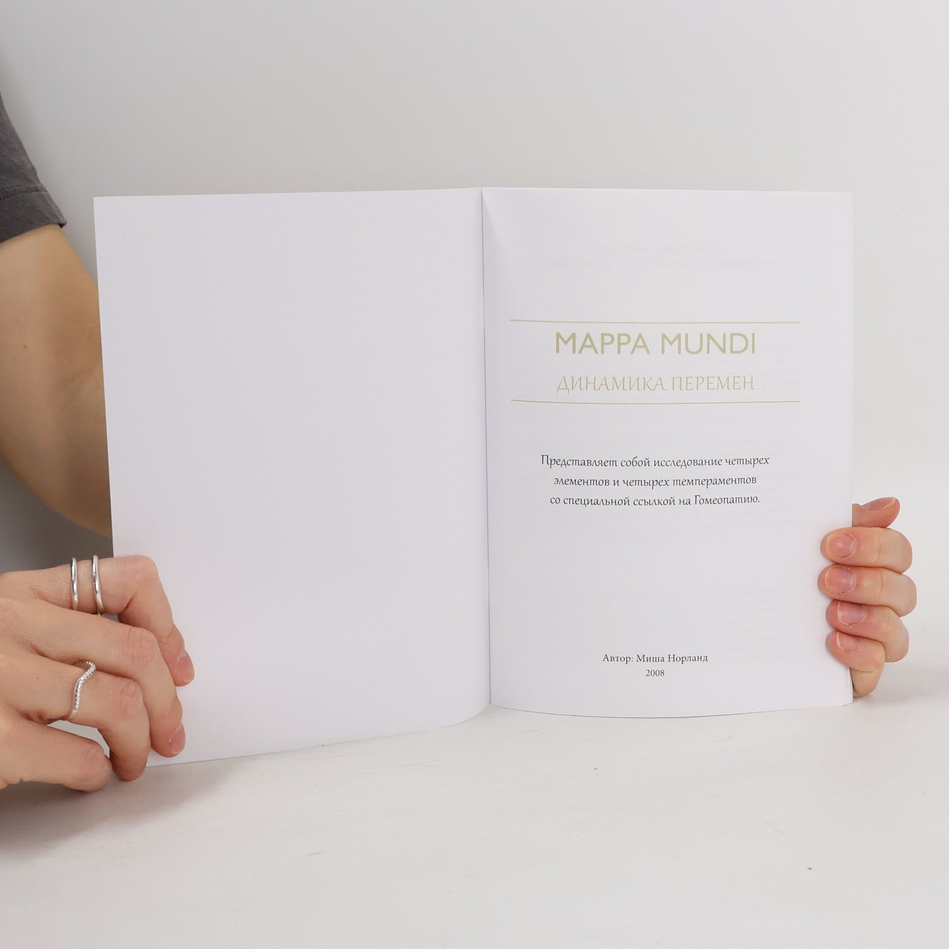 Misha Norland Mappa Mundi. Динамика перемен