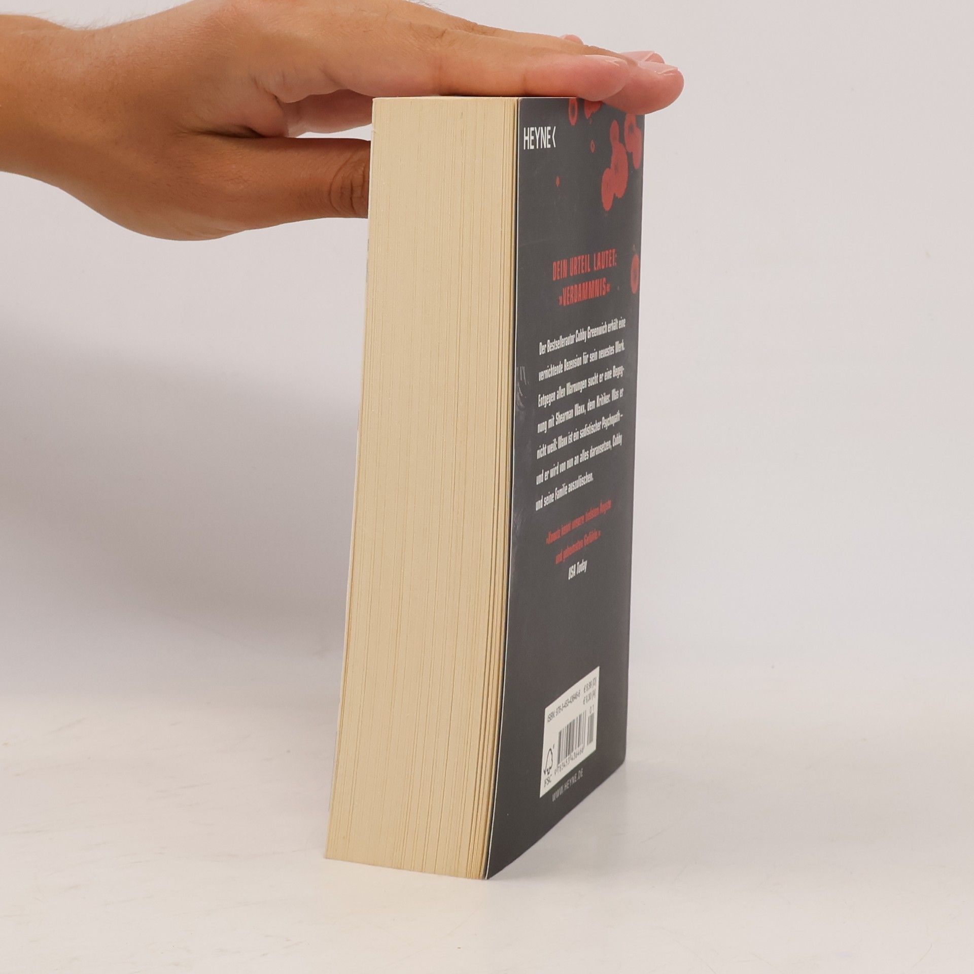Dean Ray Koontz Blindwütig