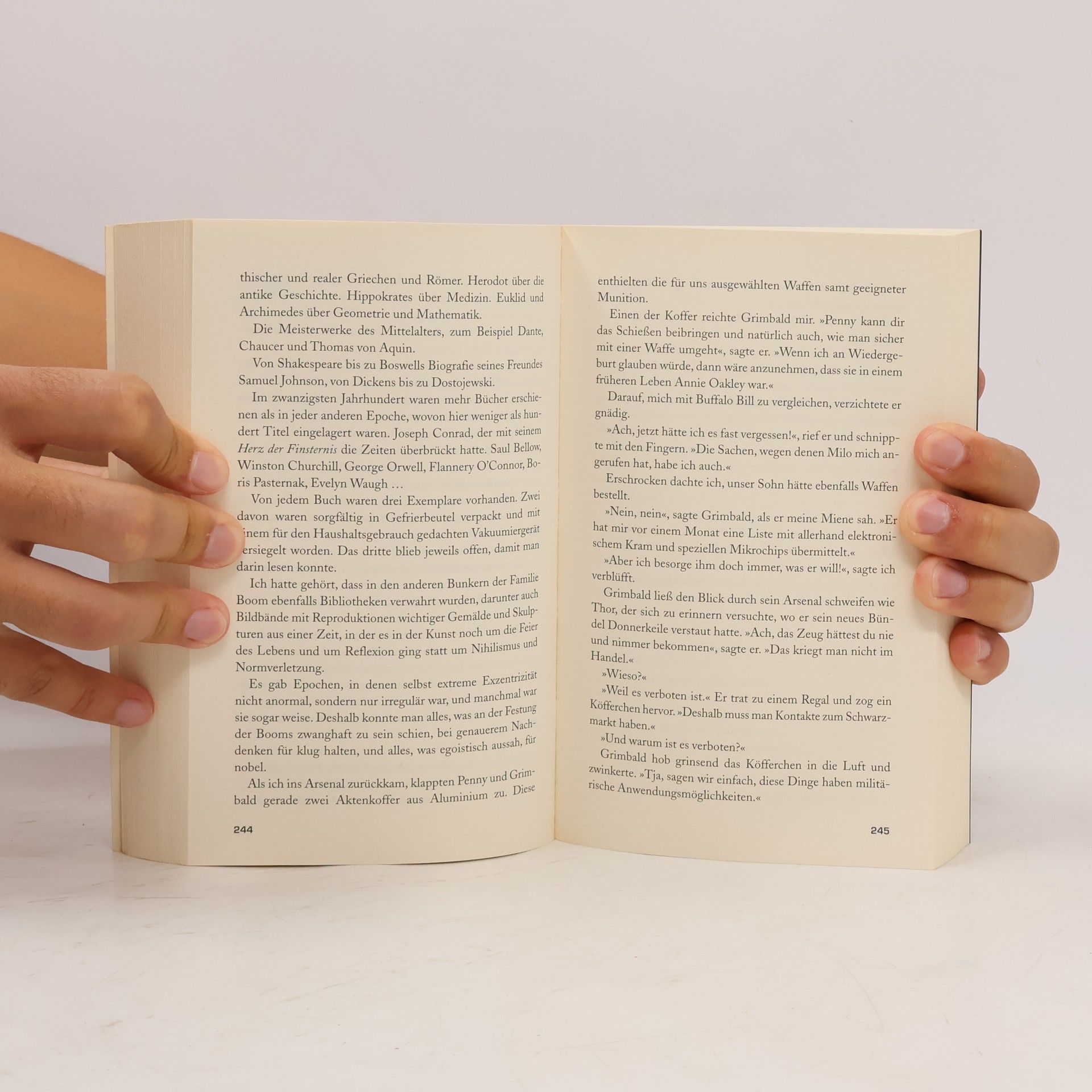 Dean Ray Koontz Blindwütig