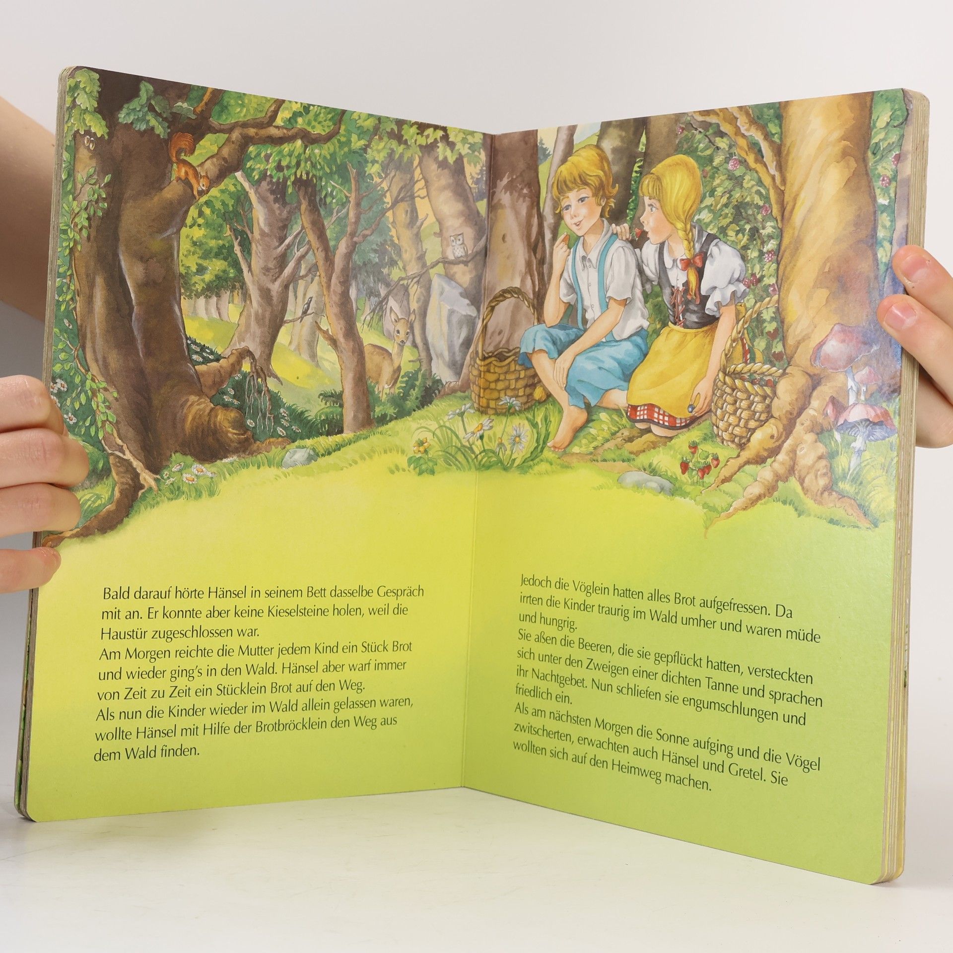 Anne Suess Hänsel und Gretel