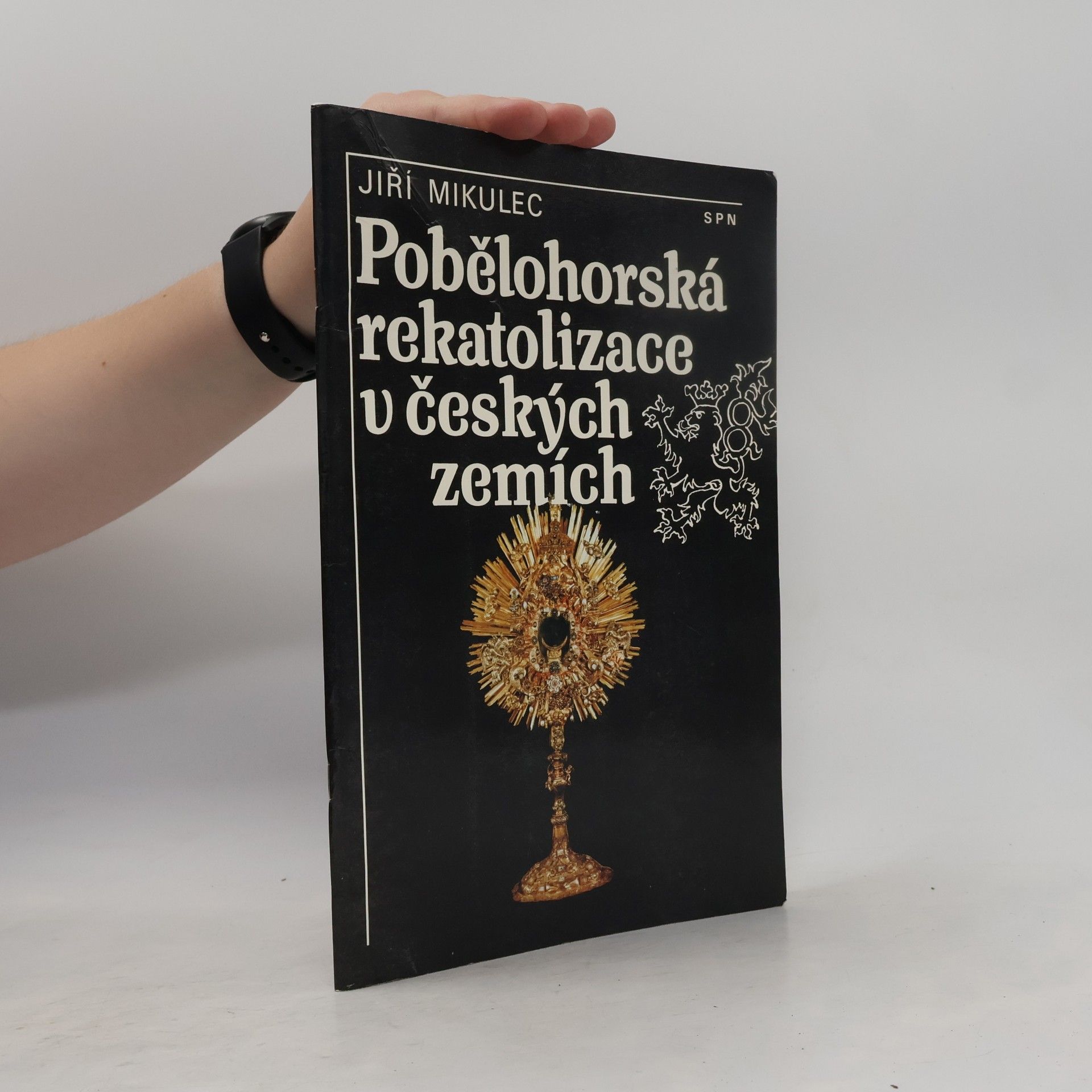 Pobělohorská rekatolizace v českých zemích