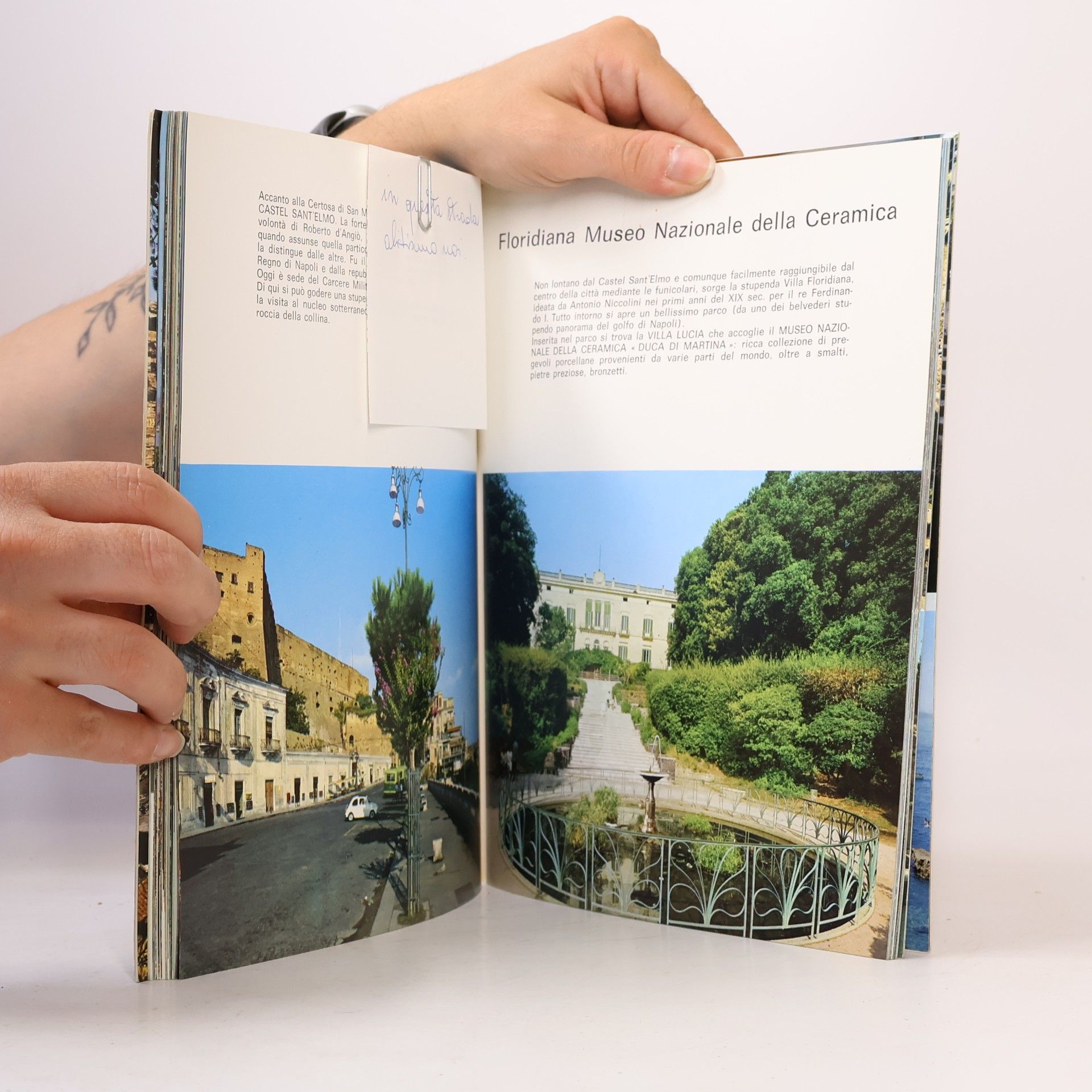 Collectif d'auteurs Napoli e dintorni