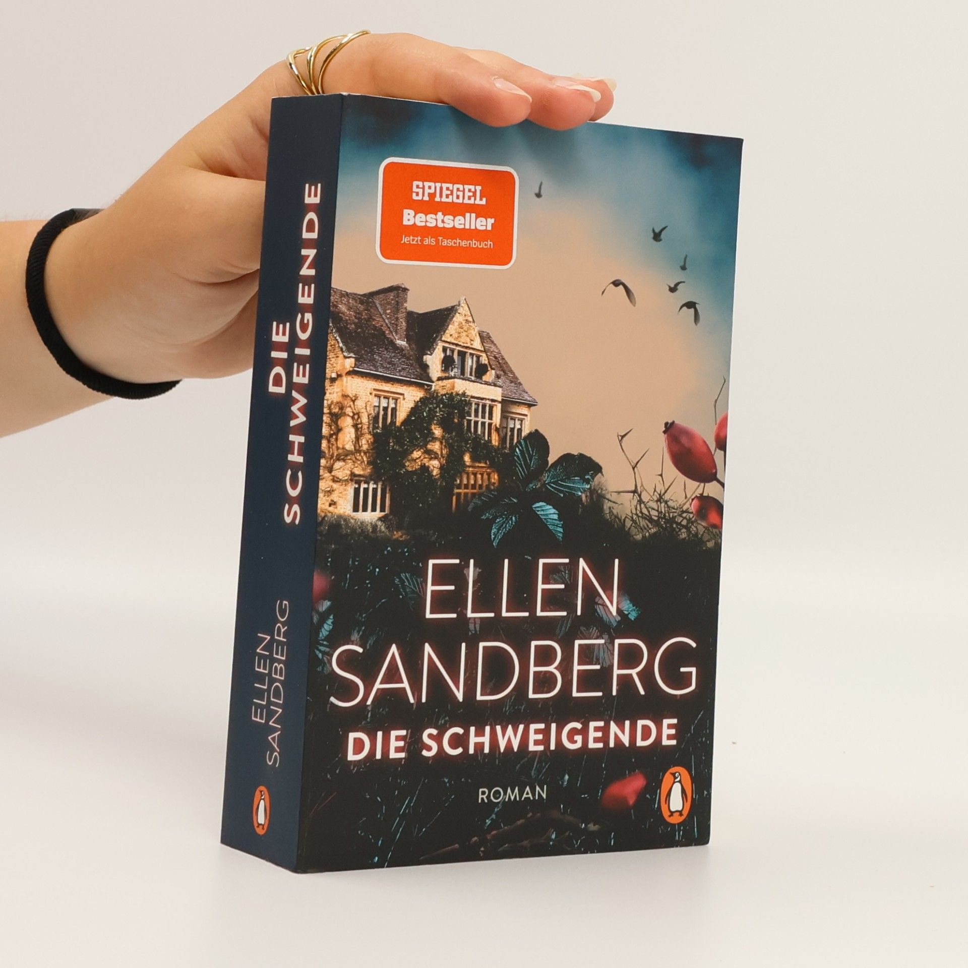Ellen Sandberg Die Schweigende