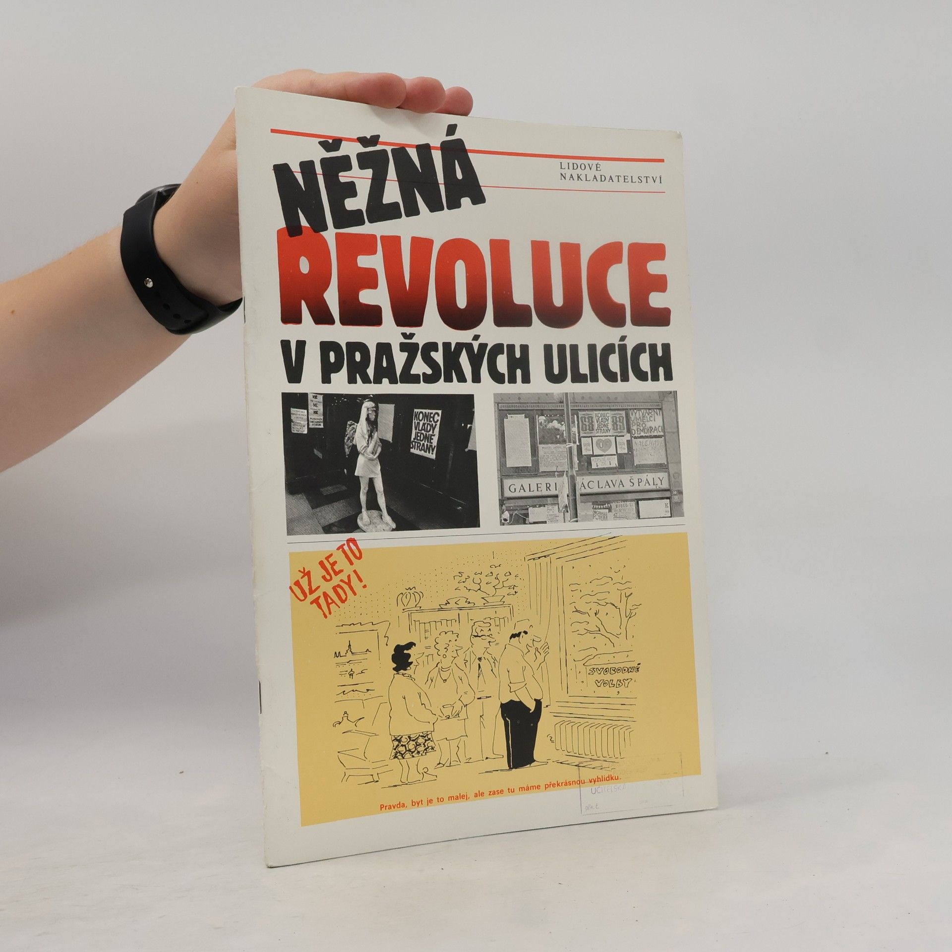 Autorenkollektiv Něžná revoluce v pražských ulicích