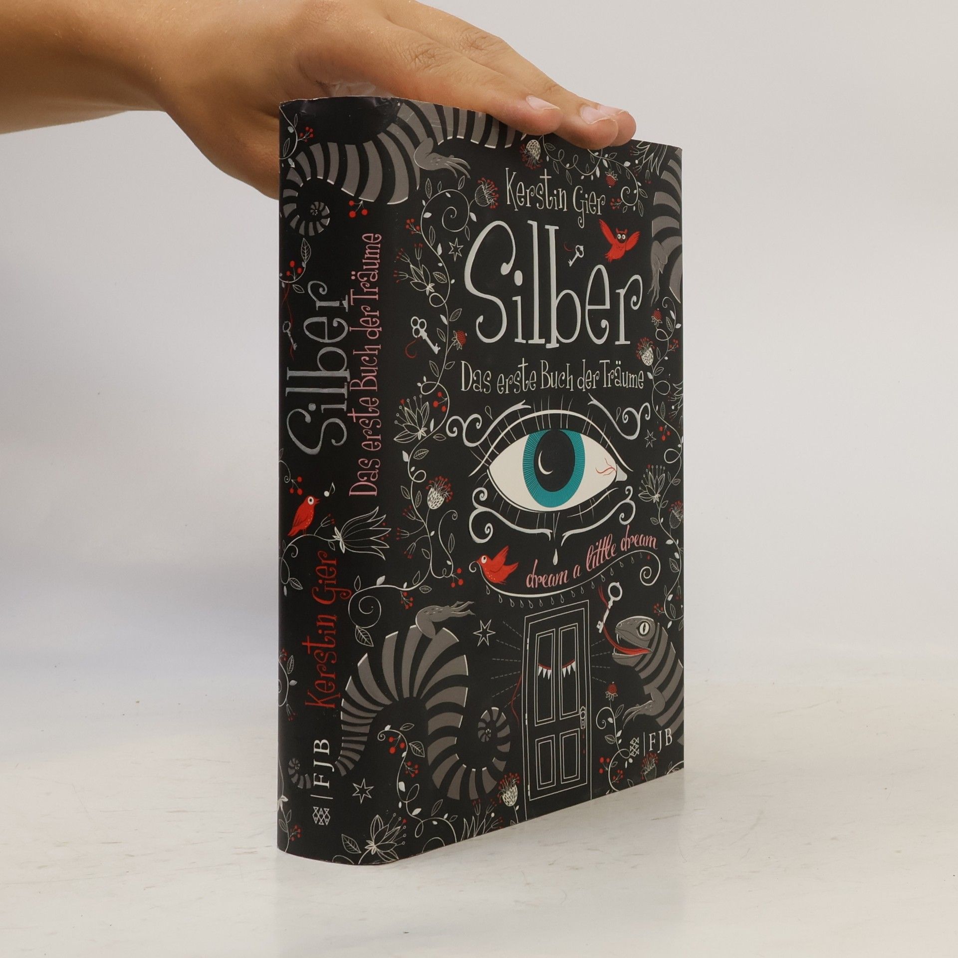 Kerstin Gier Silber - Das erste Buch der Träume