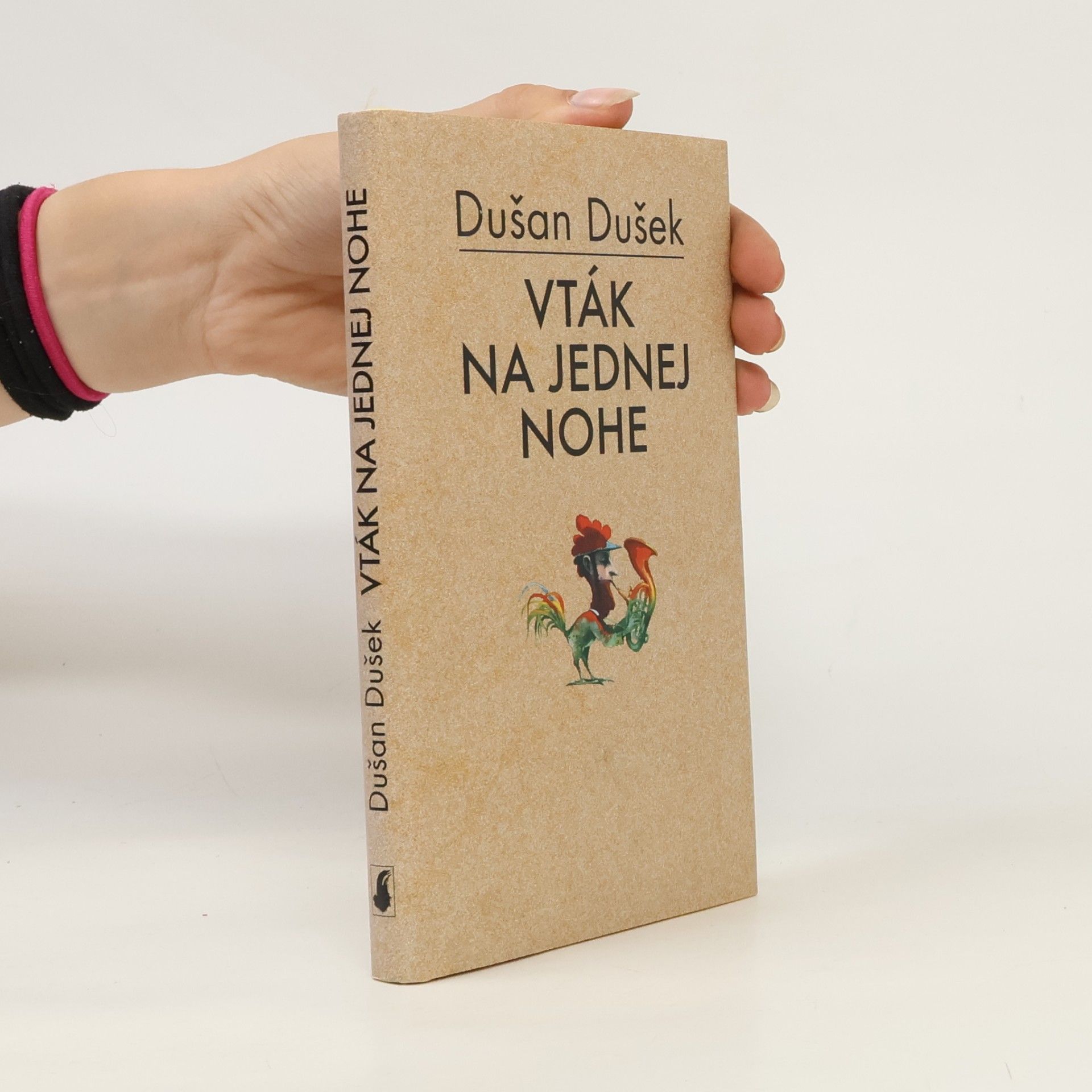 Dušan Dušek Vták na jednej nohe