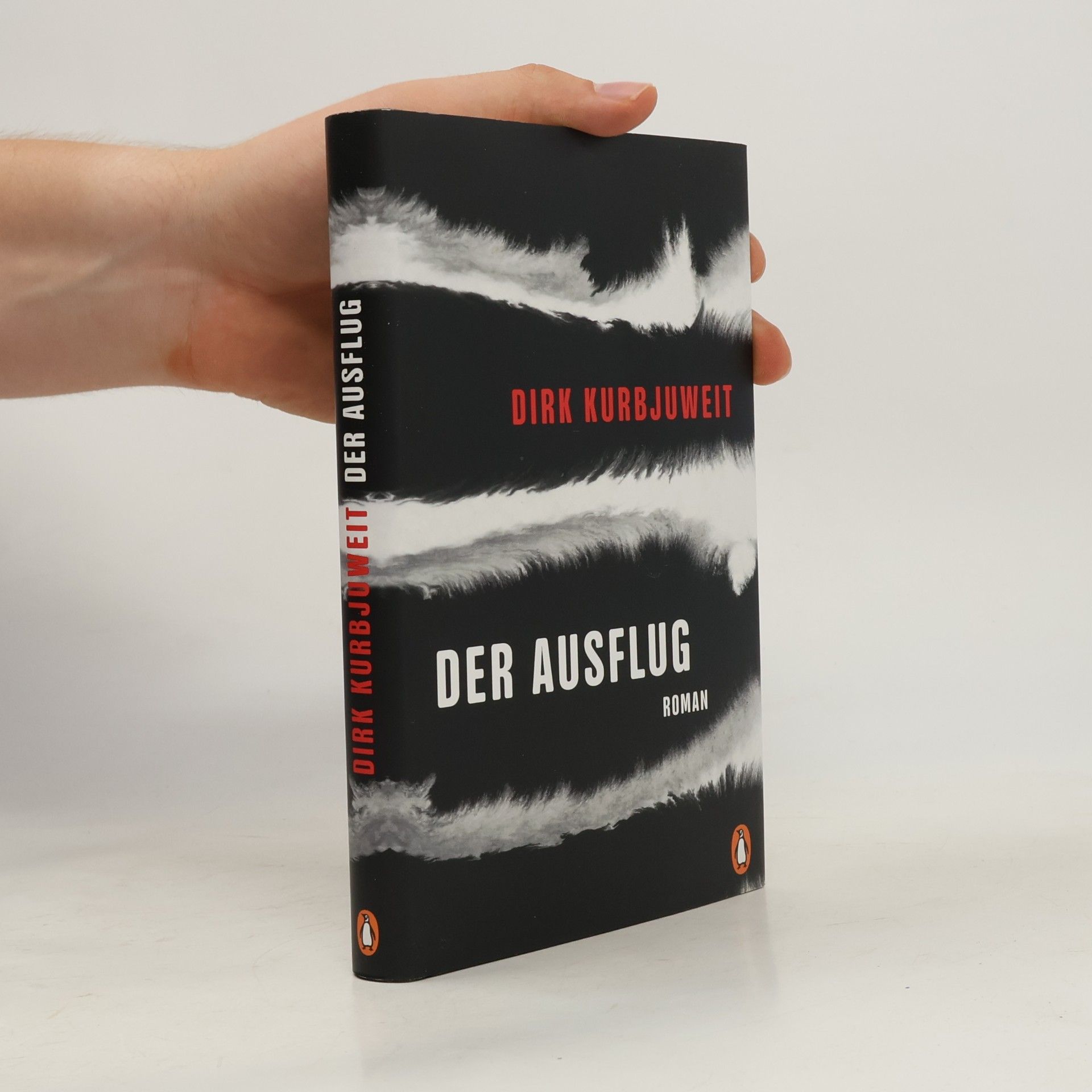 Dirk Kurbjuweit Der Ausflug