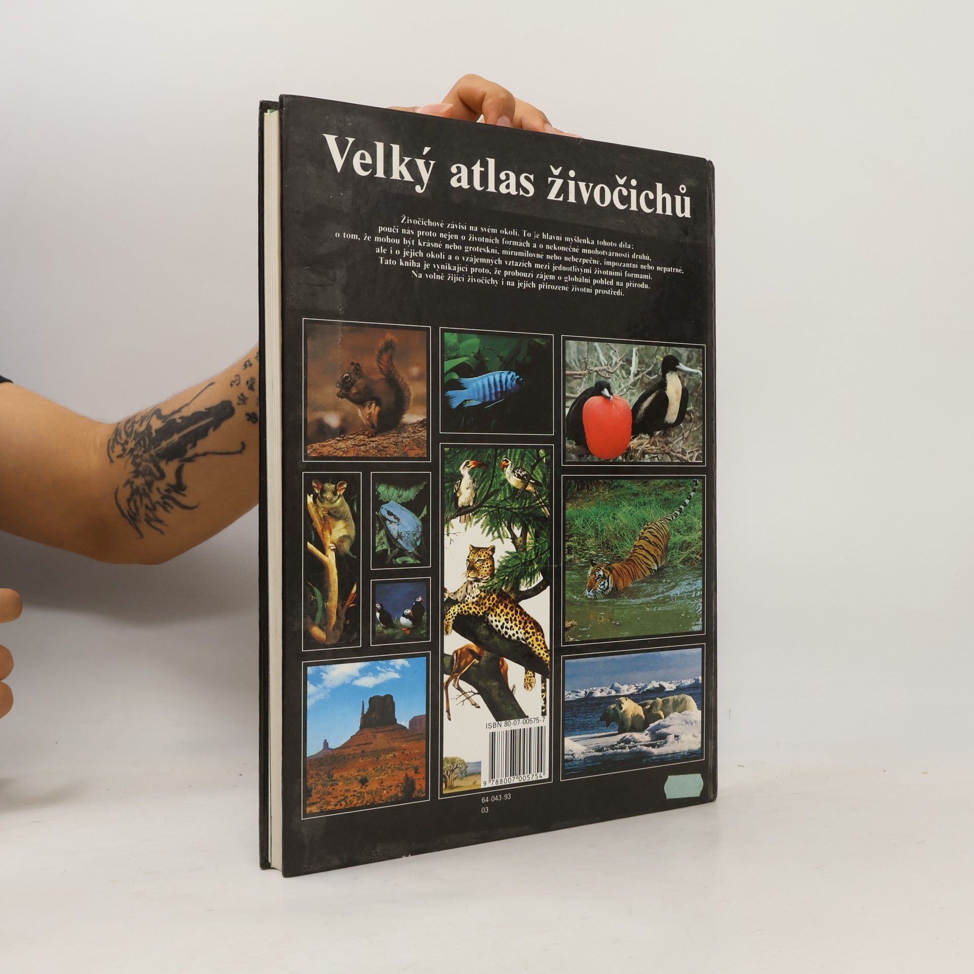 Autorenkollektiv Velký atlas živočichů