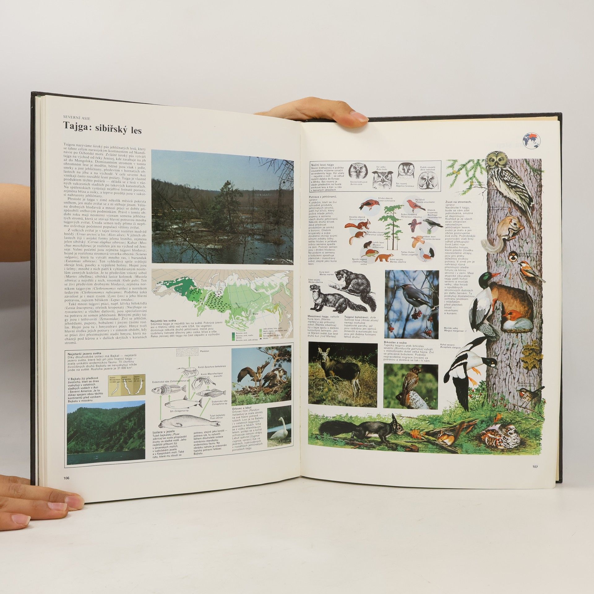Autorenkollektiv Velký atlas živočichů
