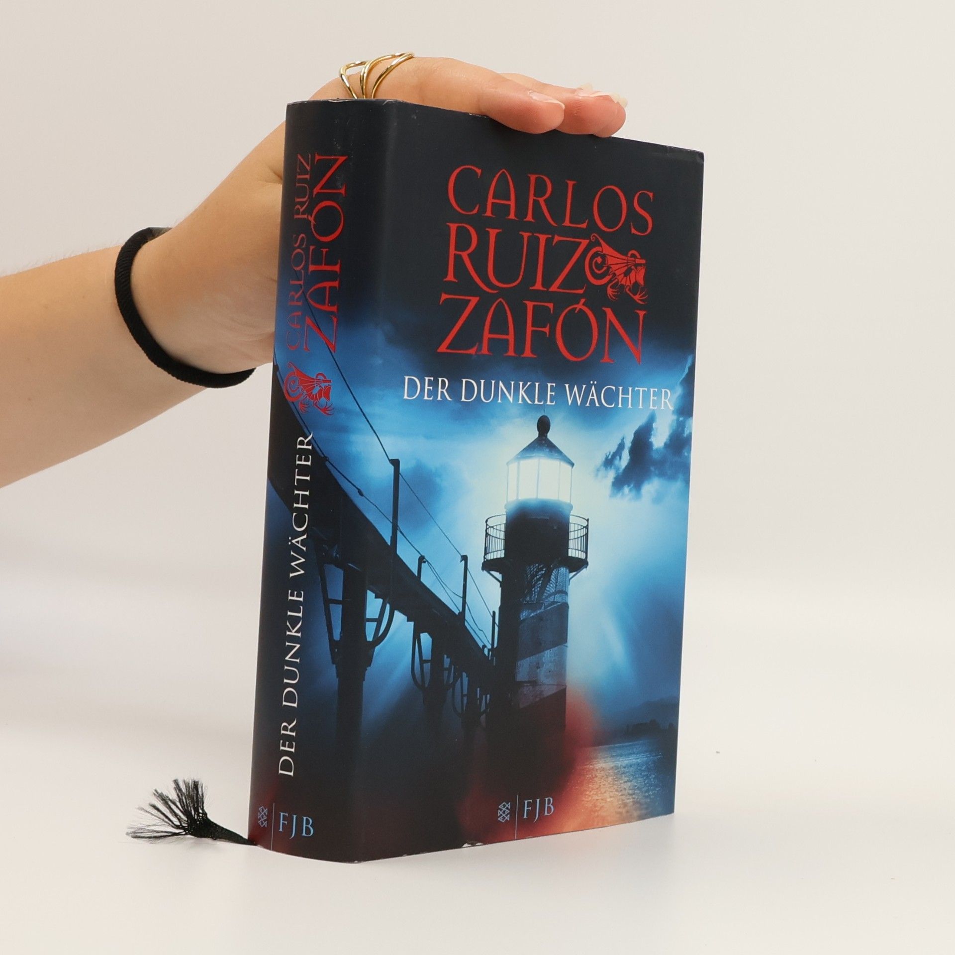 Carlos Ruiz Safon Der dunkle Wächter
