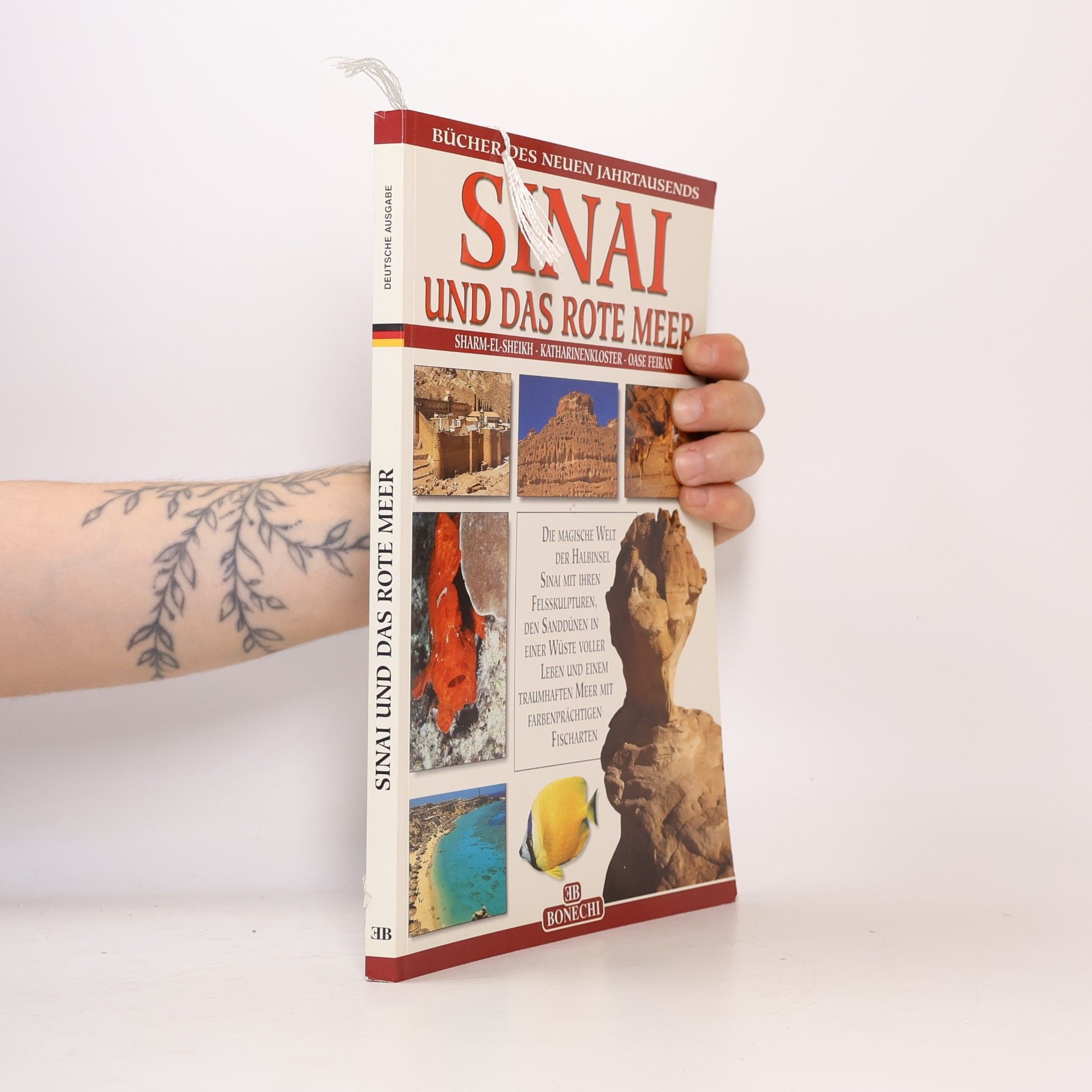 Giovanna Magi Sinai und das Rote Meer
