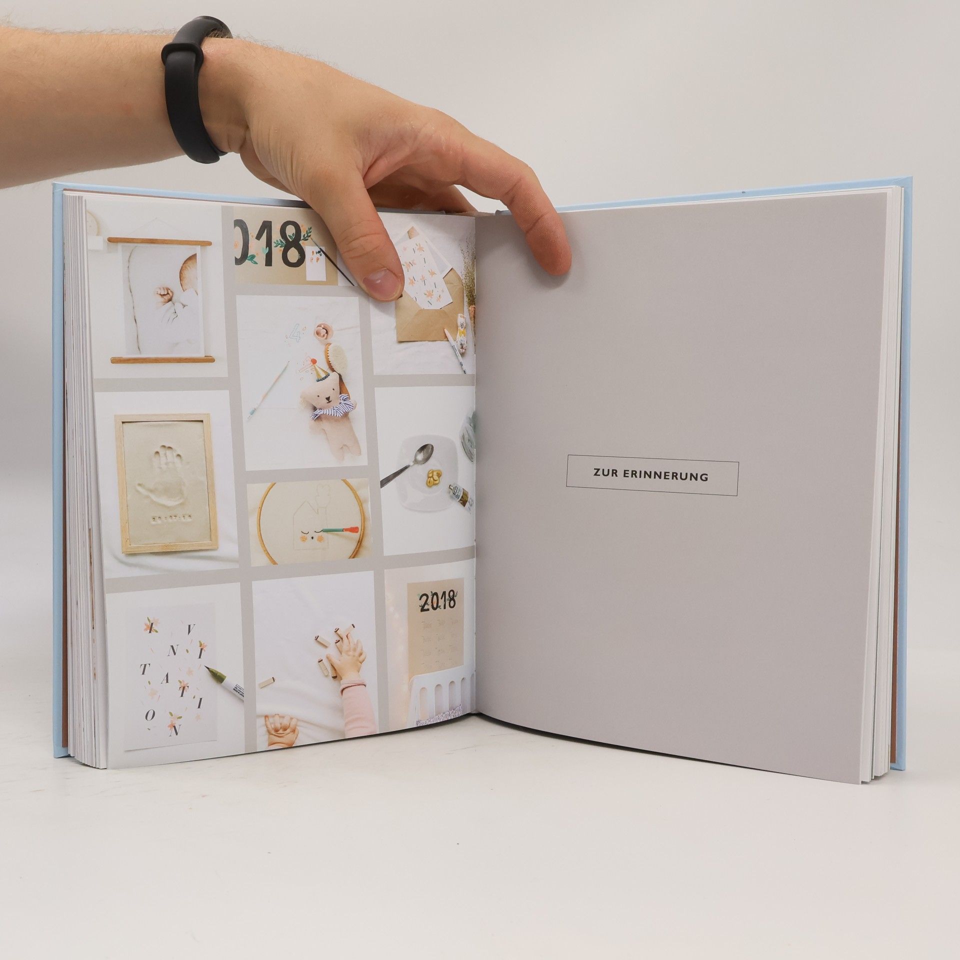 Émilie Guelpa Das große Buch des DIY für mein Baby