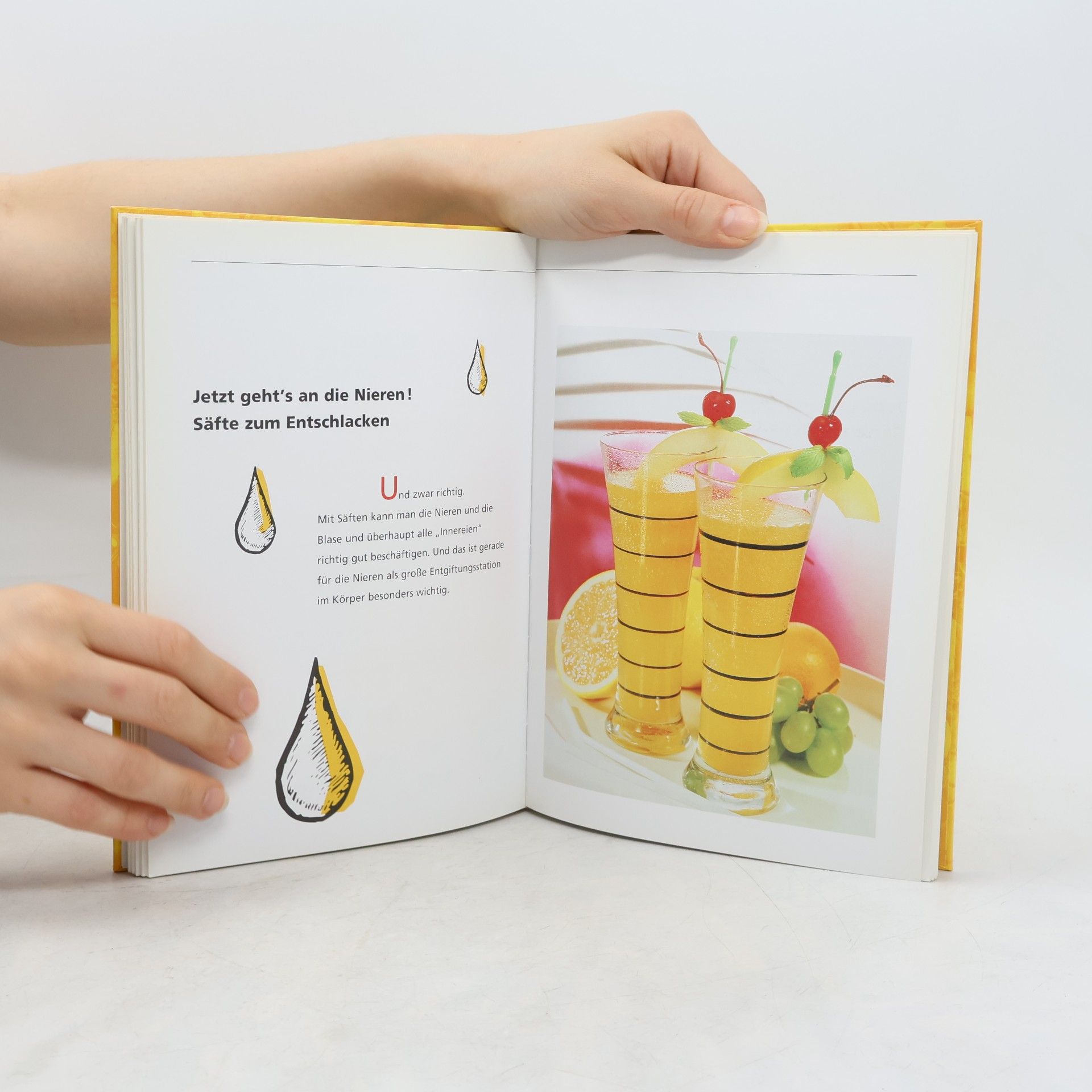 Eva-Maria Böhme Das komplette Saftbuch