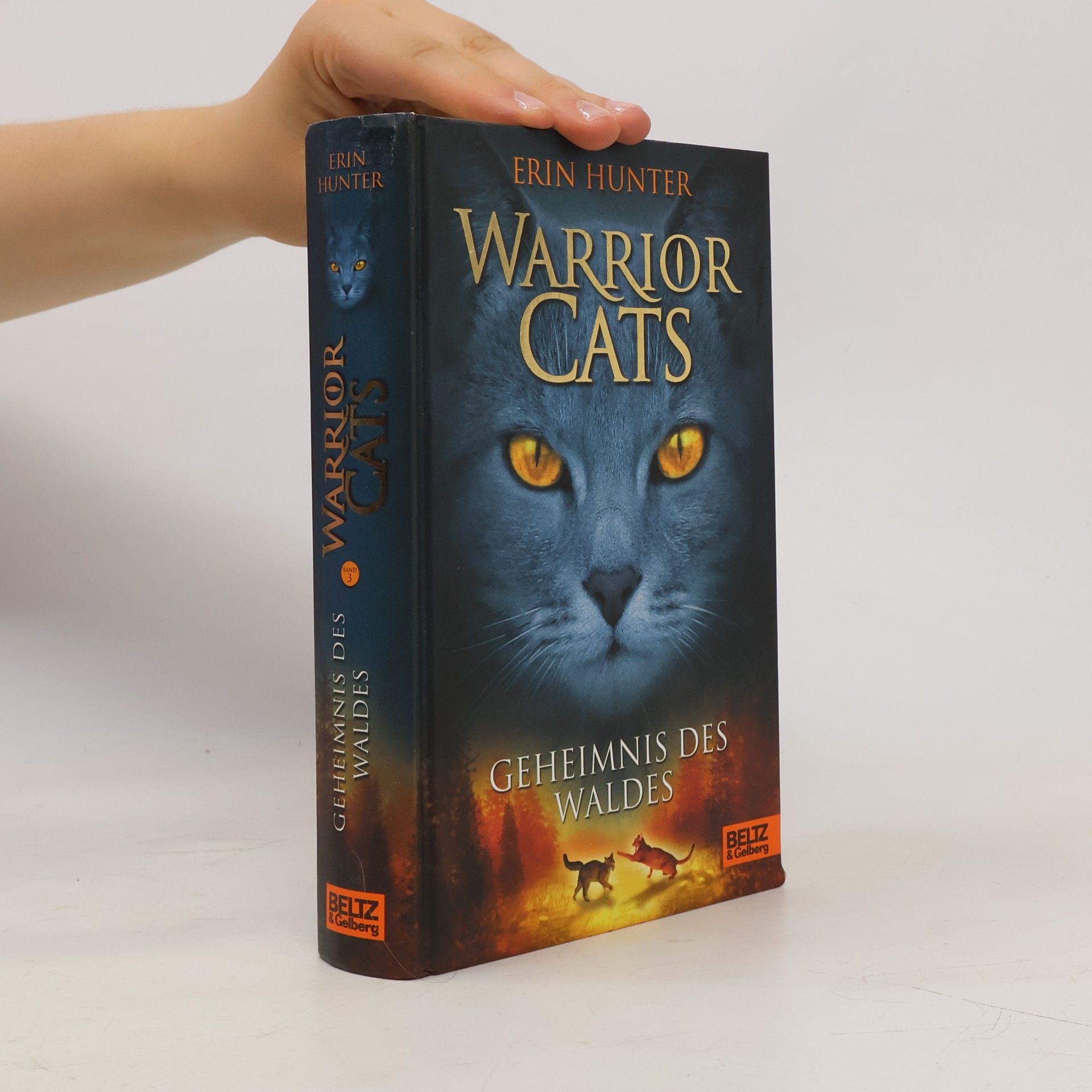 Erin Hunter Warrior Cats. Geheimnis des Waldes.