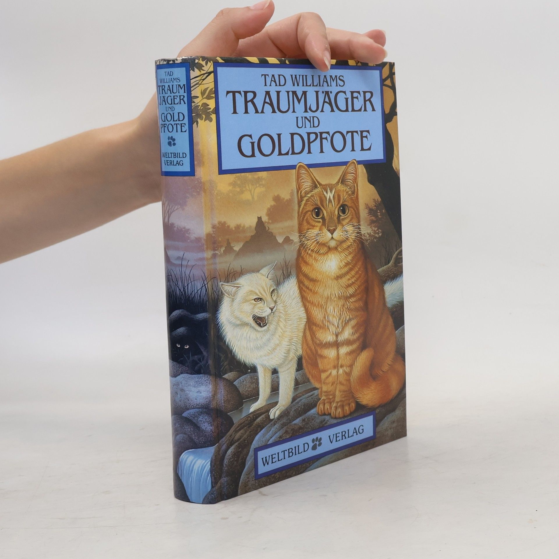 Tad Williams Traumjäger und Goldpfote