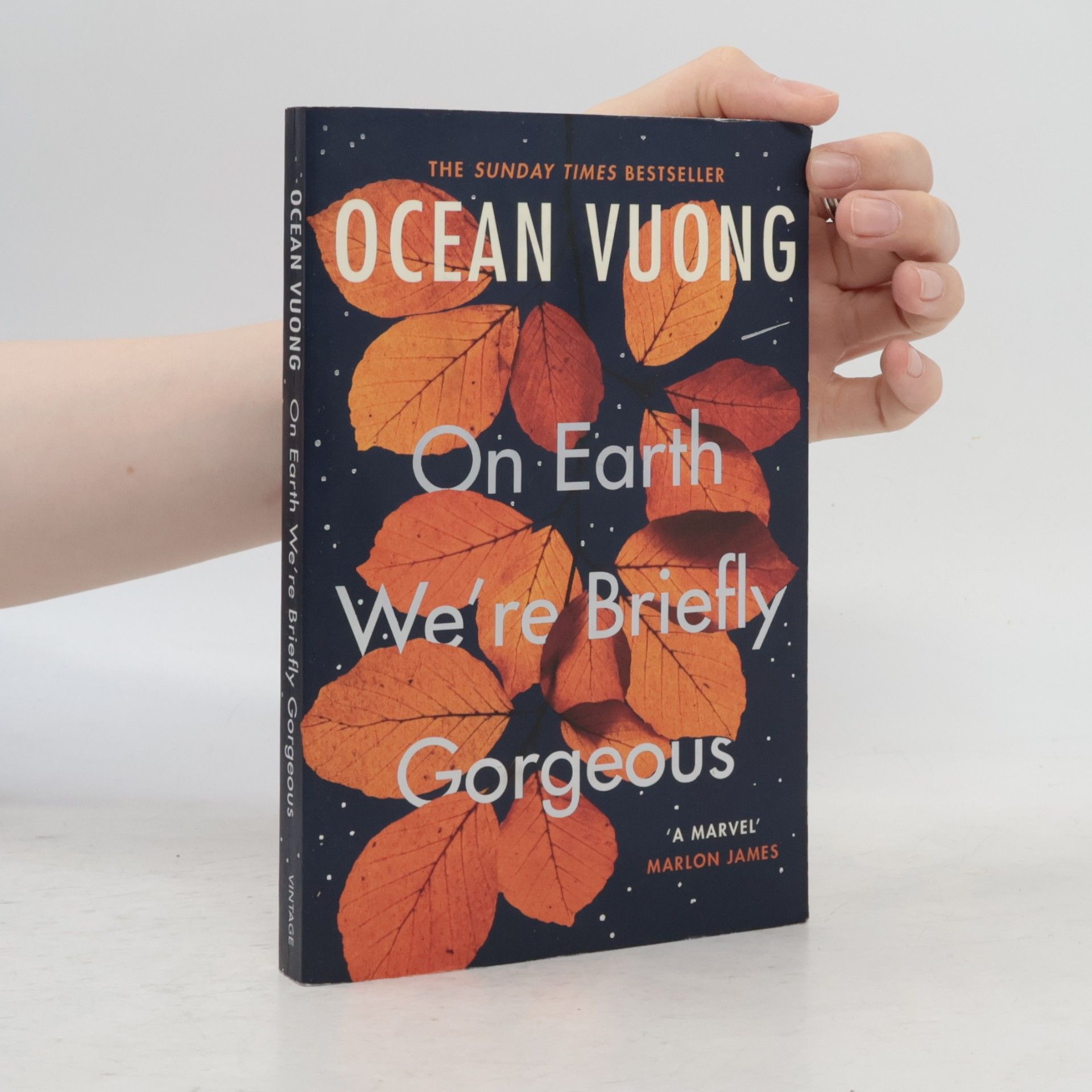 Ocean Vuong On Earth We're Briefly Gorgeous
