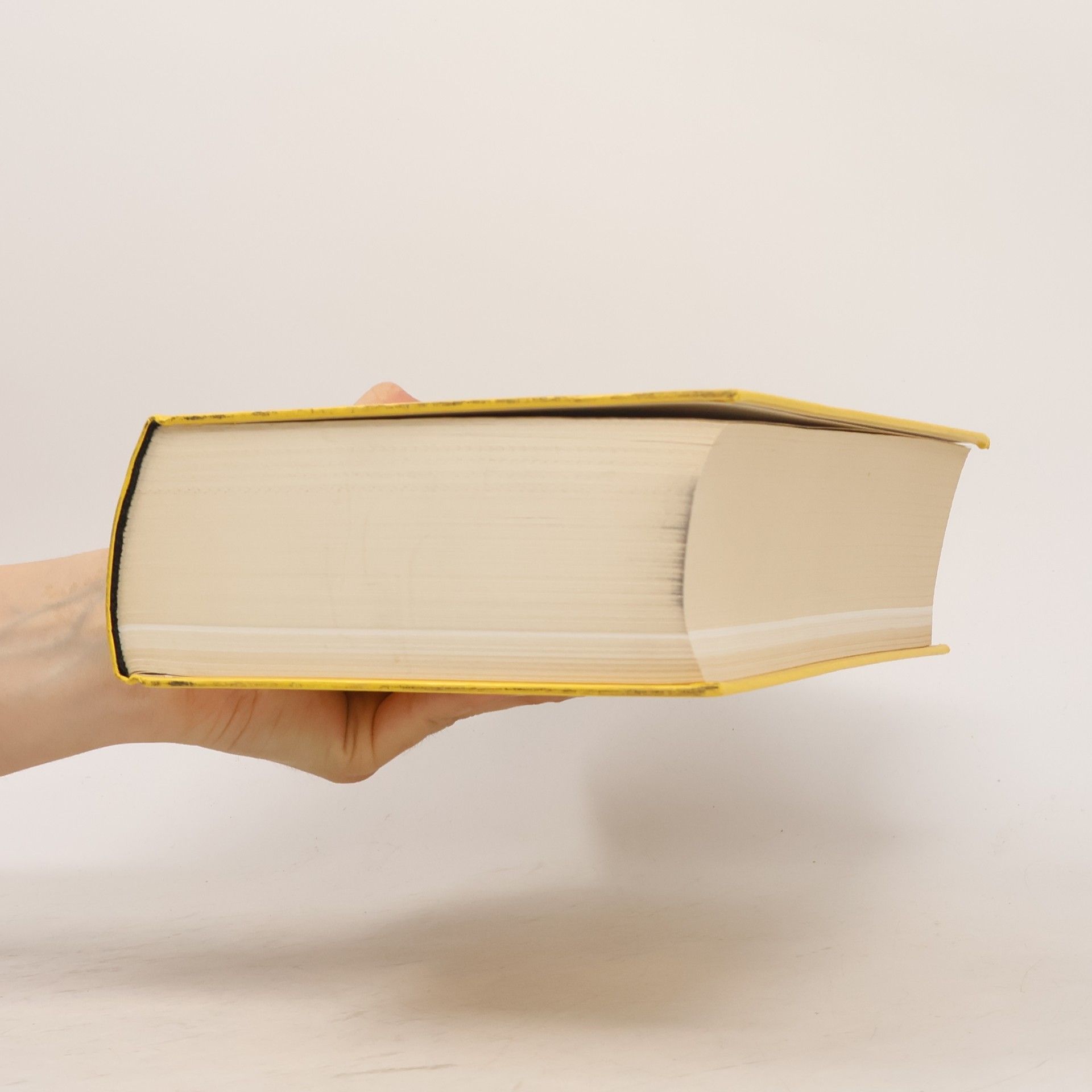 AA.VV. Dictionnaire pratique du français