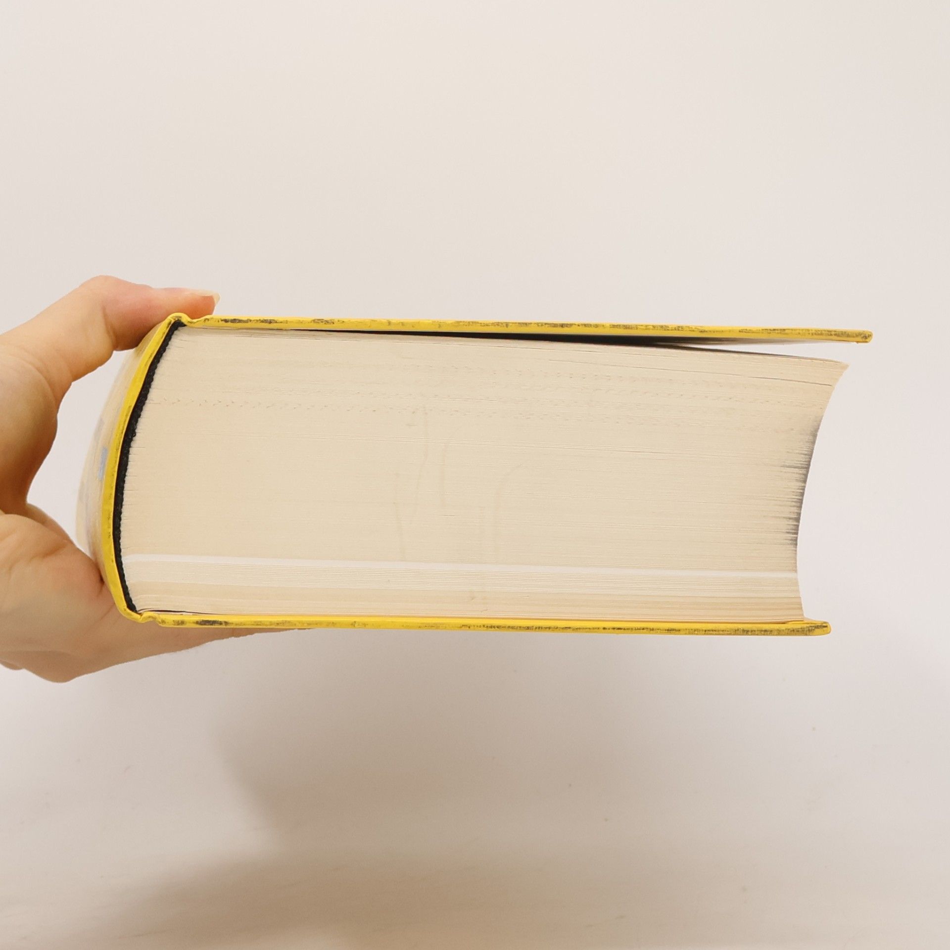 AA.VV. Dictionnaire pratique du français