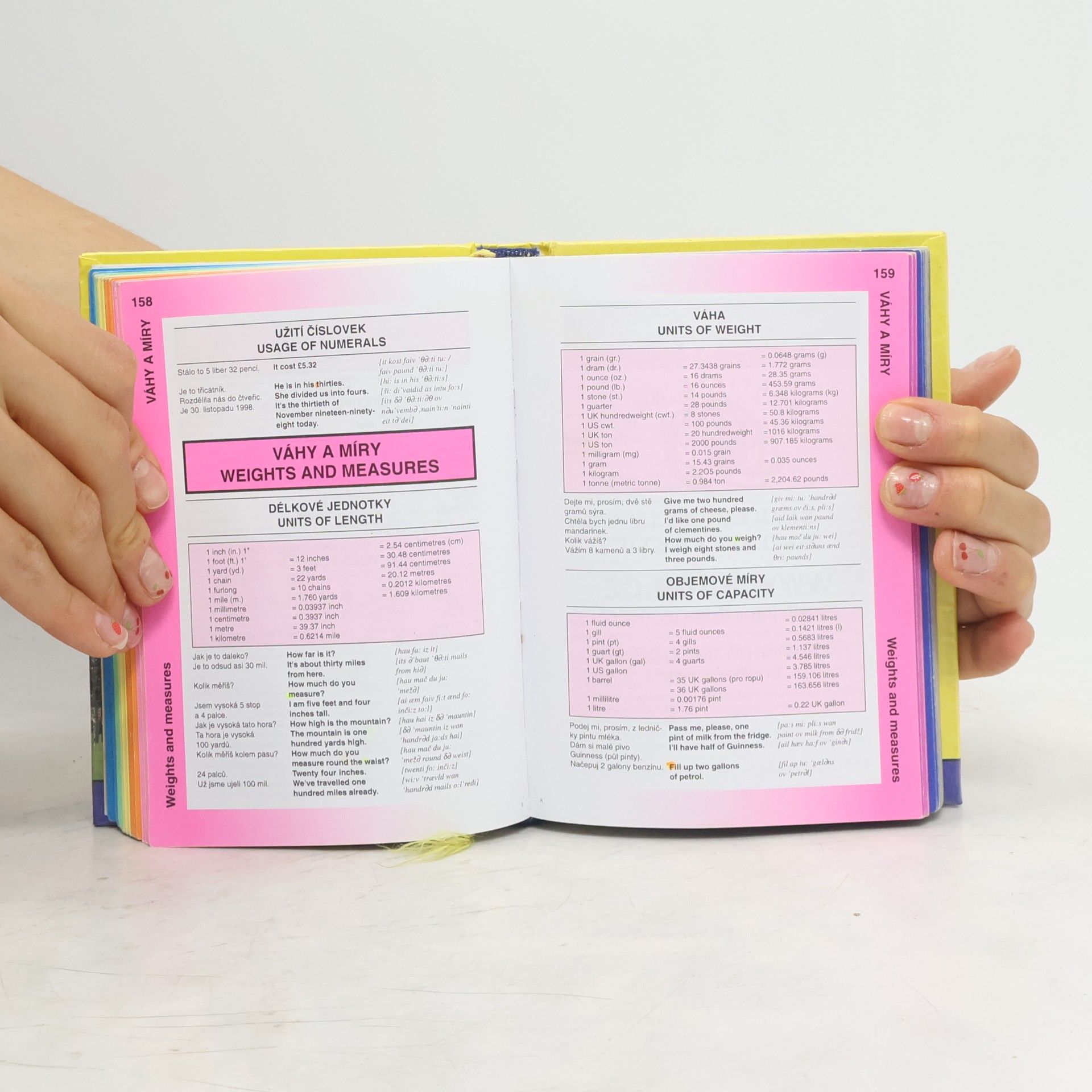 Martina Sobotíková Angličtina. Czech - English Phrase Book & Dictionary