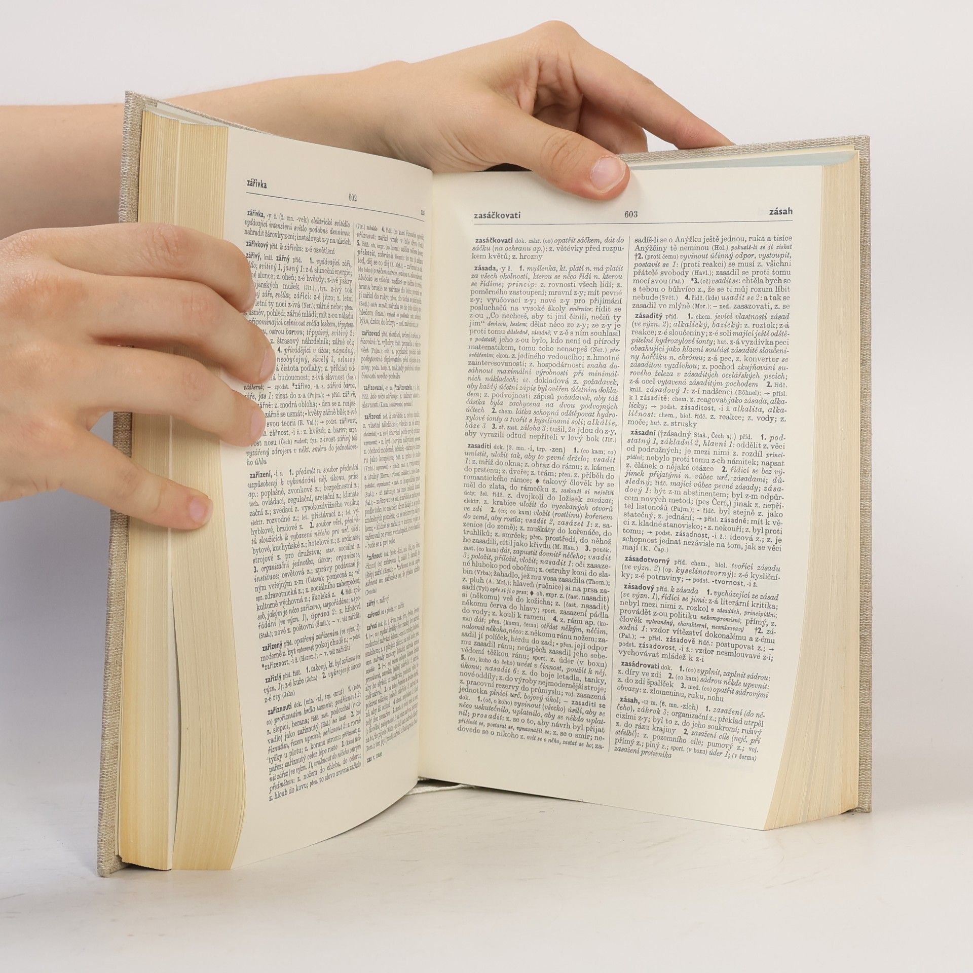 Autorenkollektiv Slovník spisovného jazyka českého I. - IV. díl