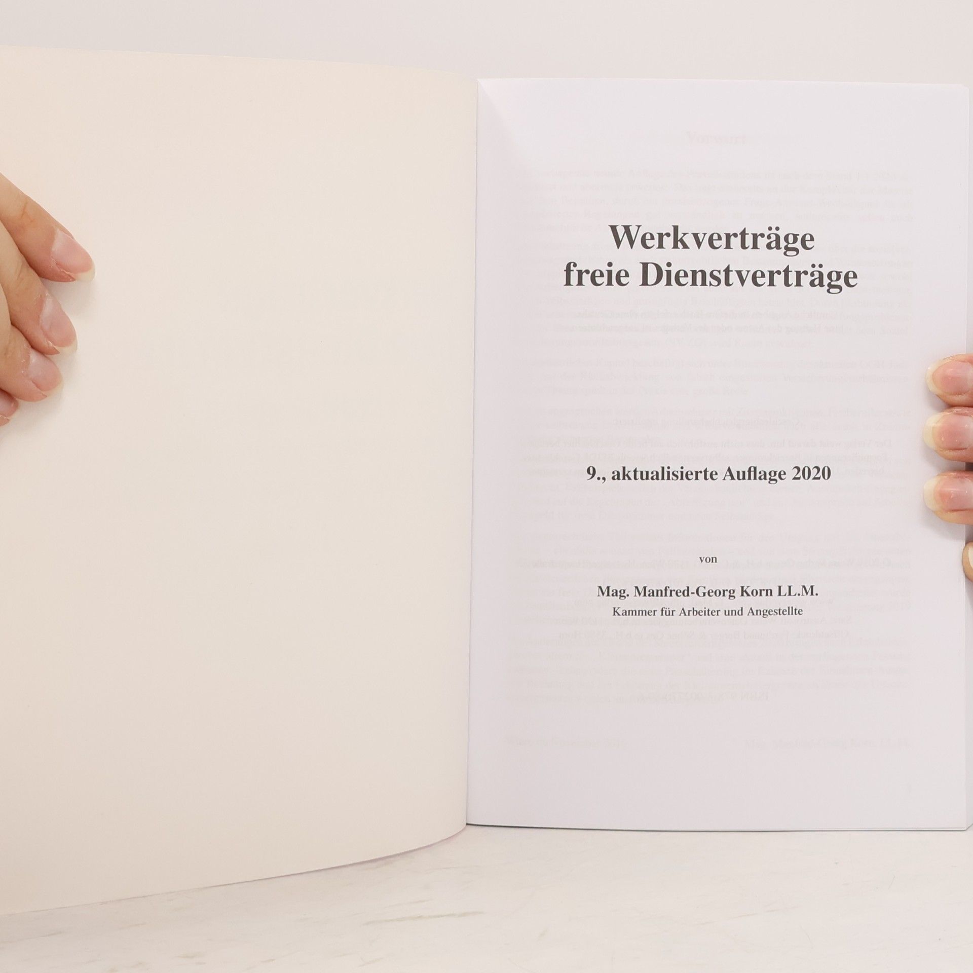 Manfred Georg Korn Der Steuerzahler: Werkverträge freie Dienstverträge