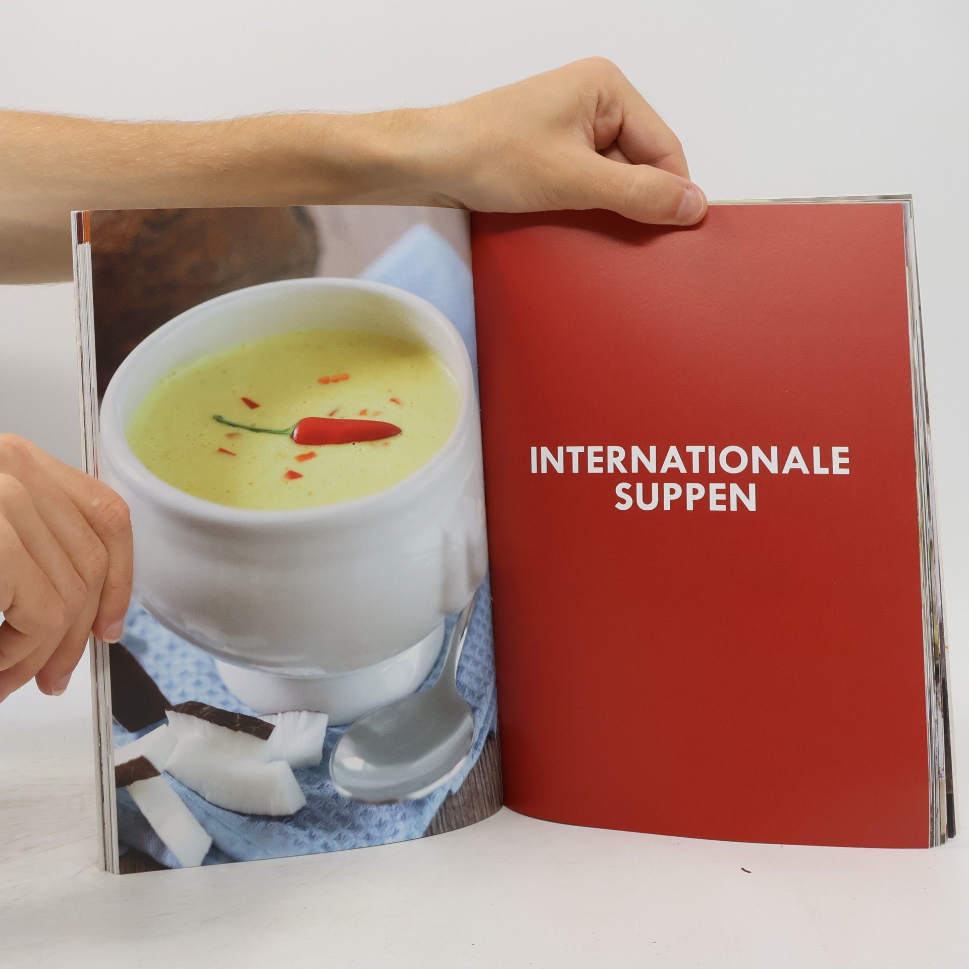 Autorenkollektiv Suppen - Rezepte für die Küchenmaschine mit Kochfunktion