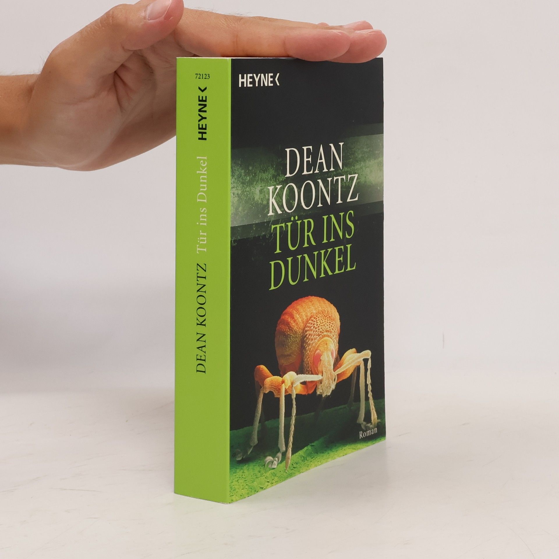 Dean Ray Koontz Tür ins Dunkel