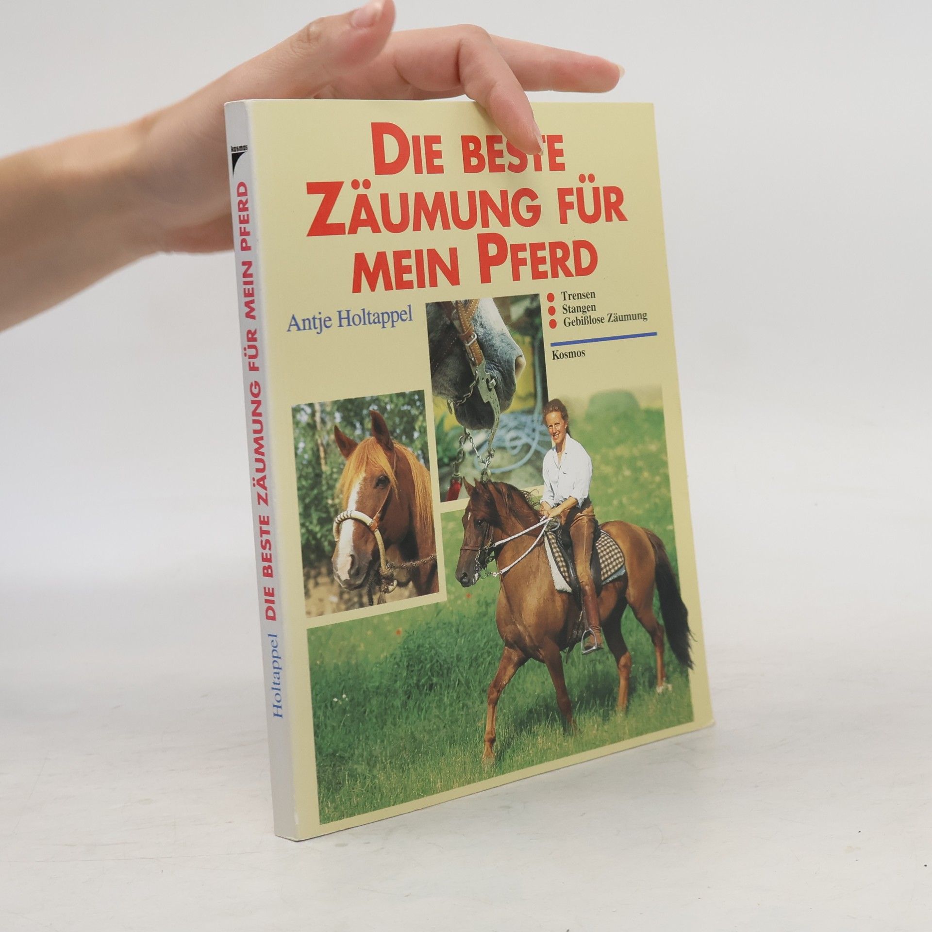 Antje Holtappel Die beste Zäumung für mein Pferd
