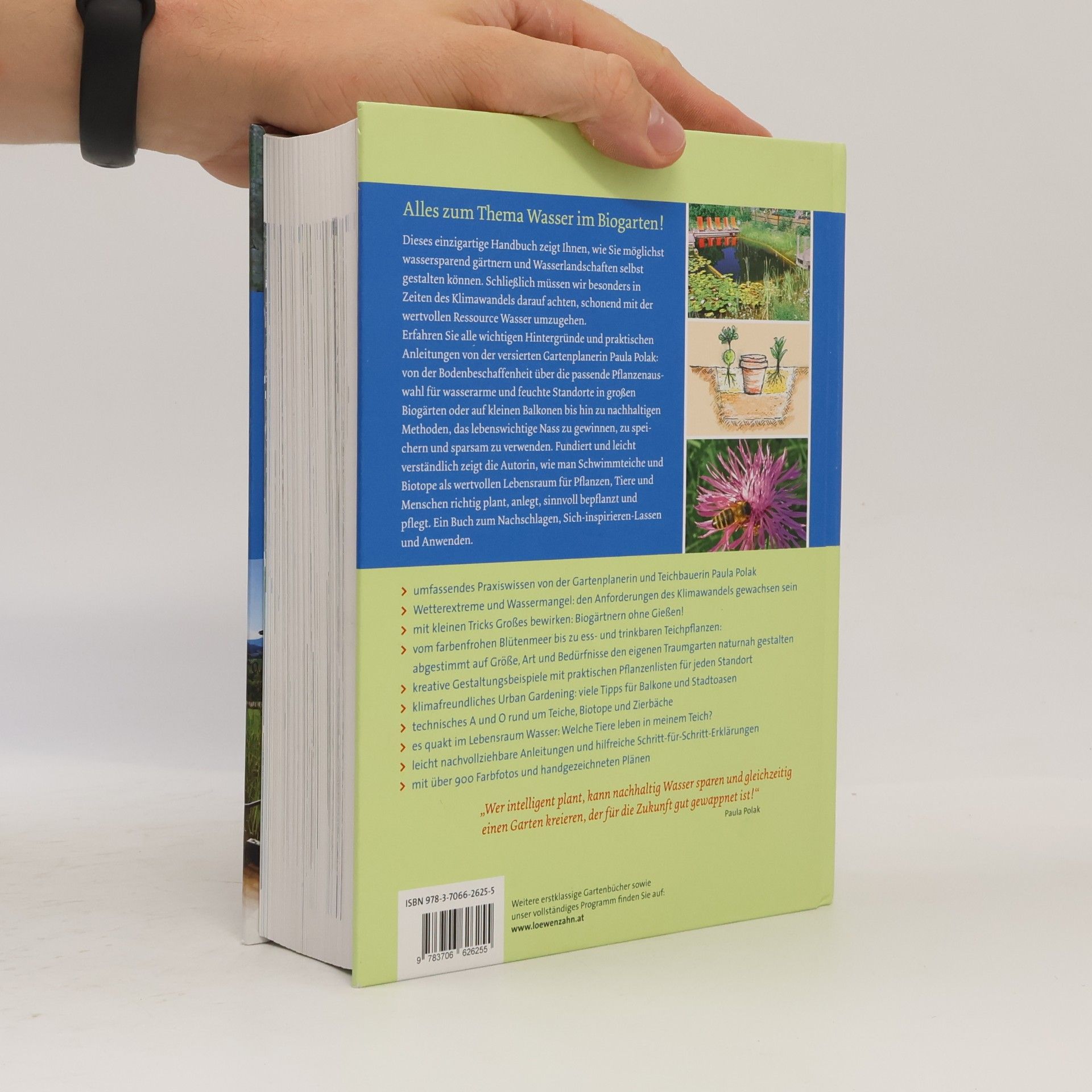 Paula Polak Handbuch Wasser im Garten