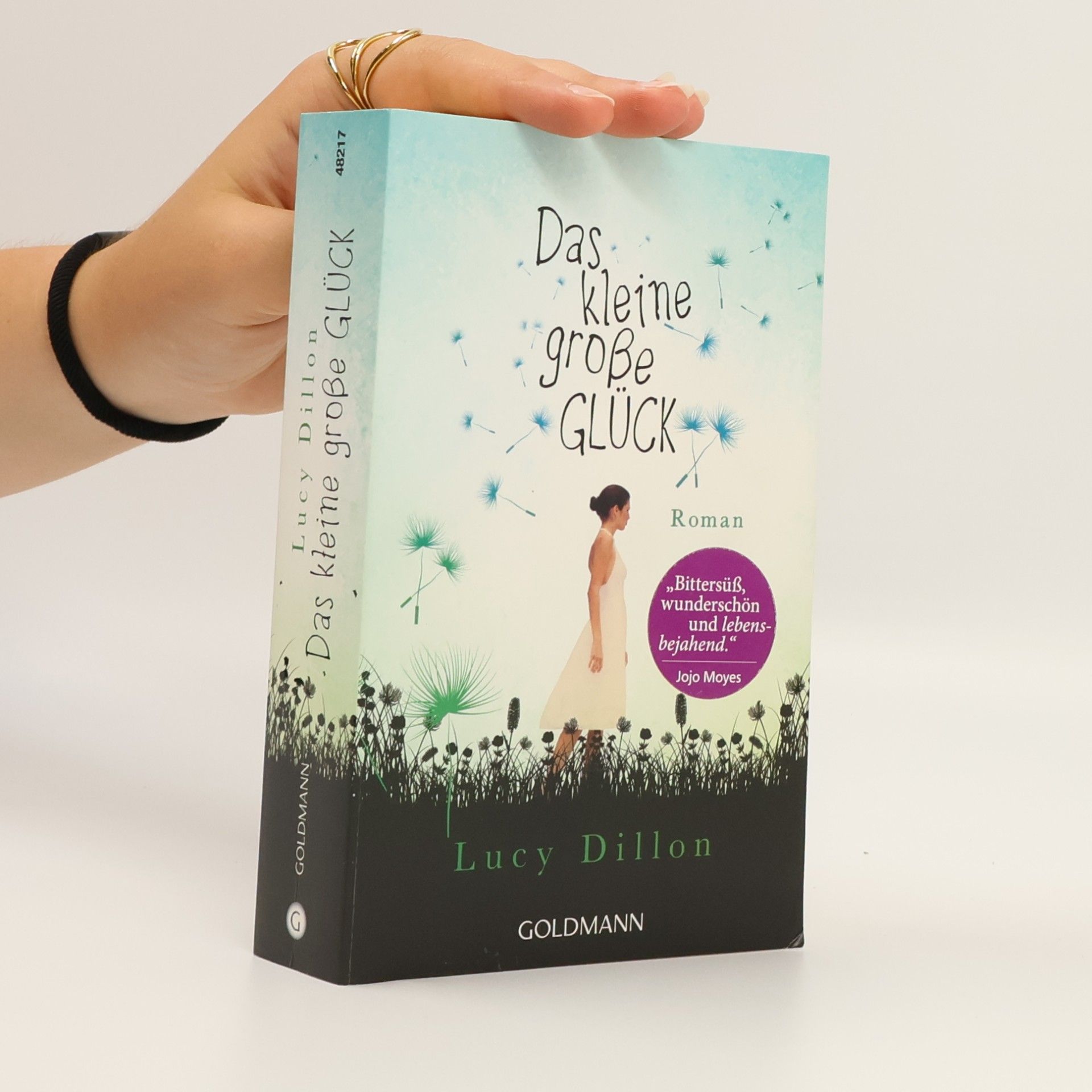 Lucy Dillon Das kleine große Glück