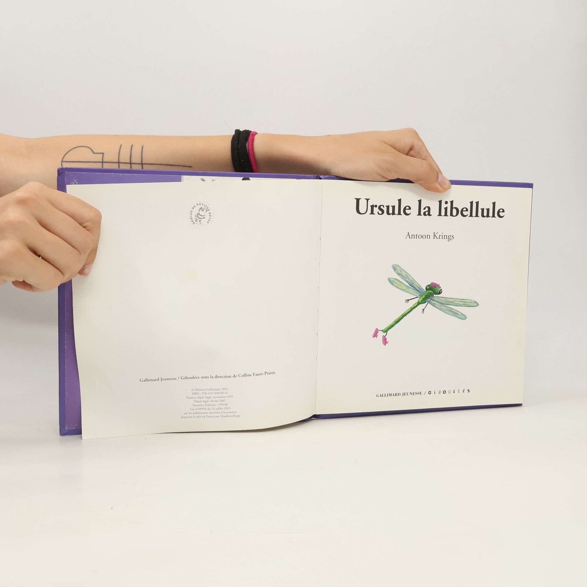 Antoon Krings Ursule la libellule