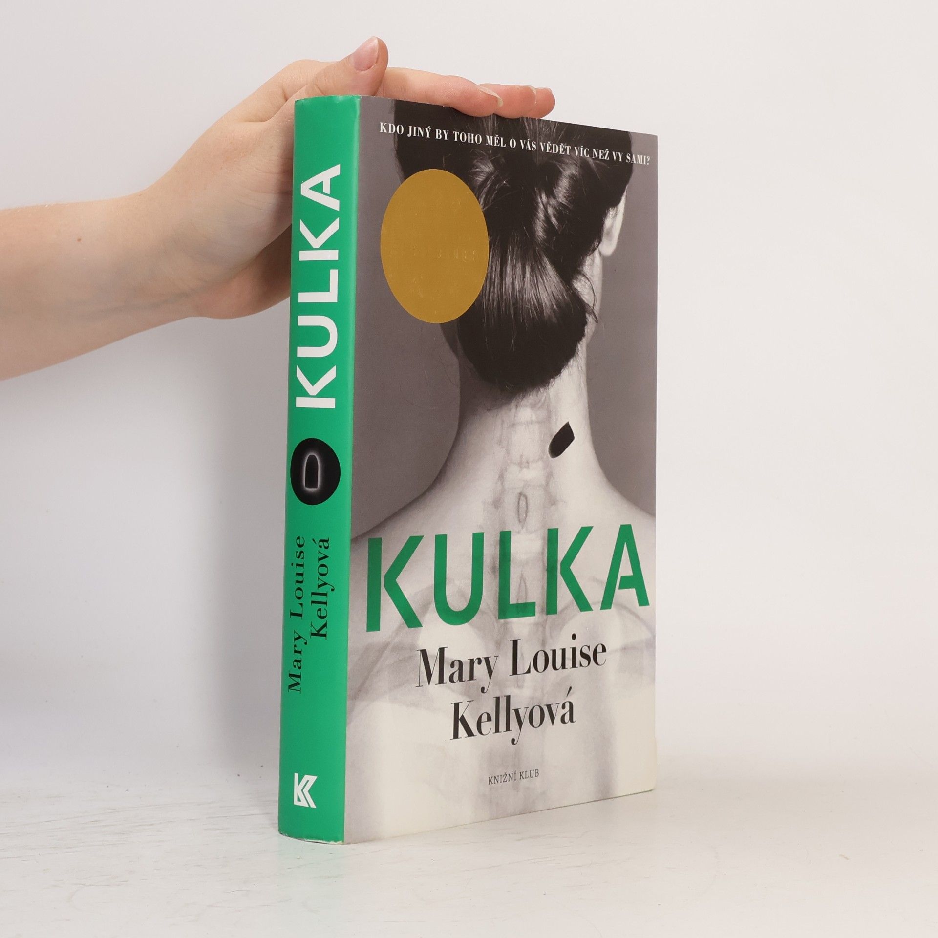 Mary Louise Kelly Kulka