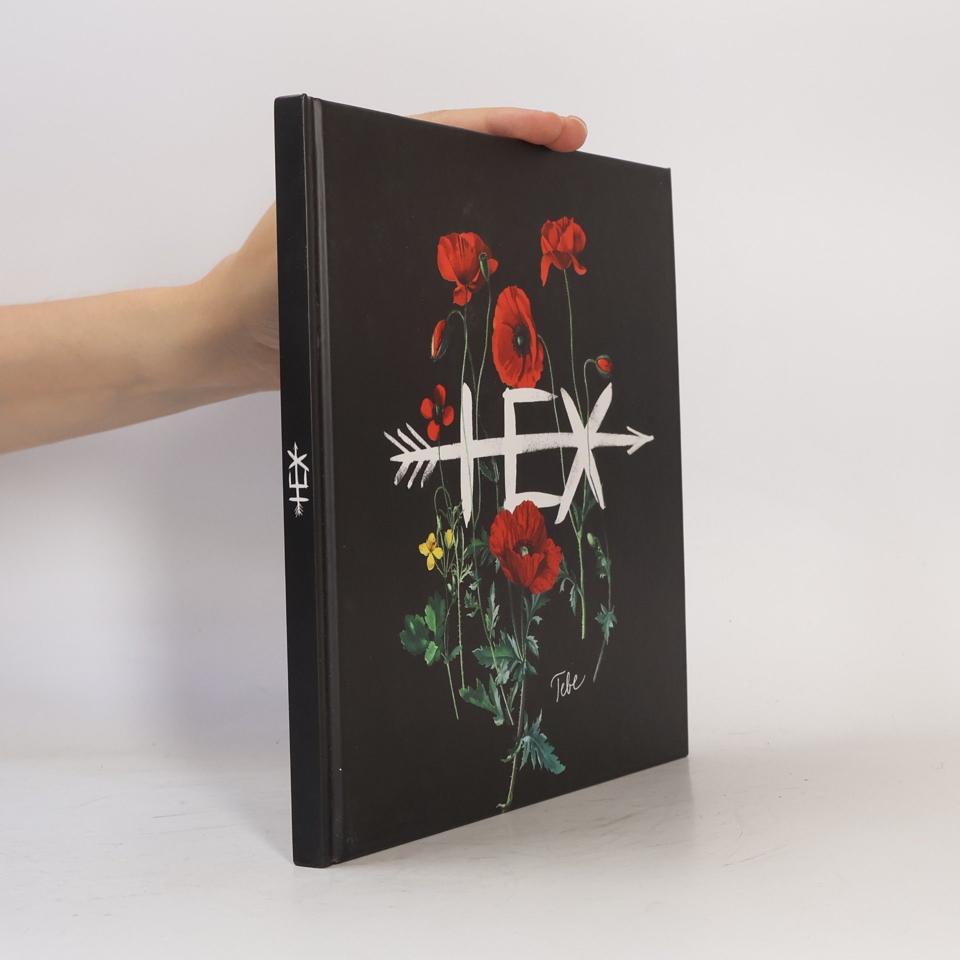 Kolektív autorov Hex