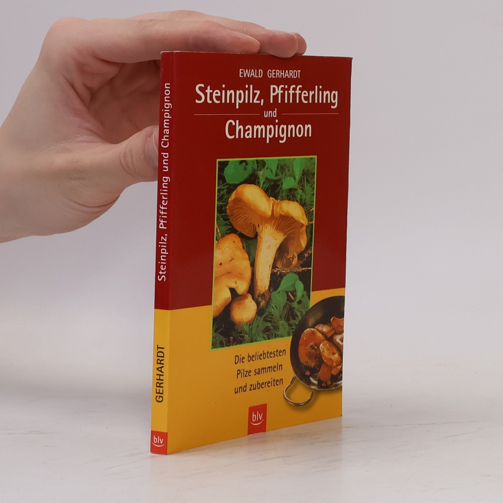 Ewald Gerhardt Steinpilz, Pfifferling und Champignon