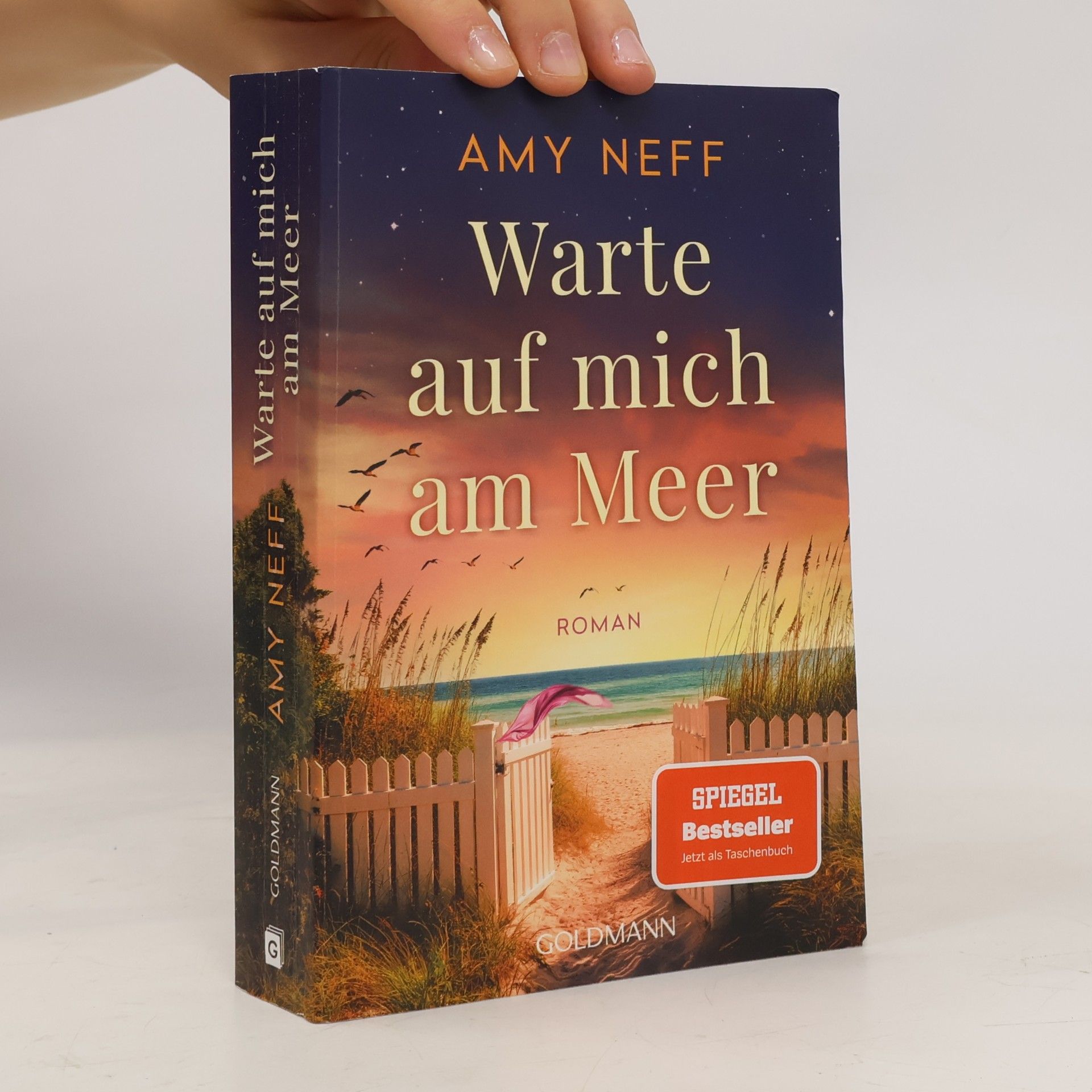 Amy Neff Warte auf mich am Meer