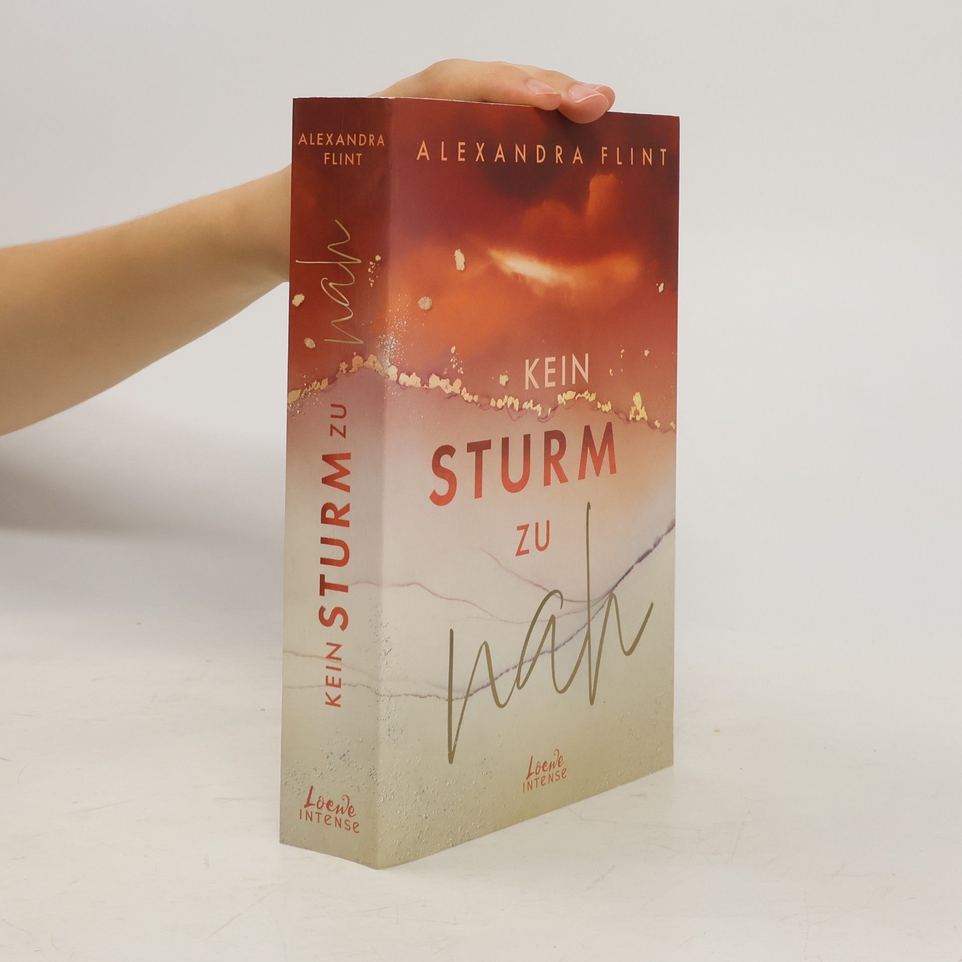 Alexandra Flint Kein Sturm zu nah (Tales of Sylt, Band 2)