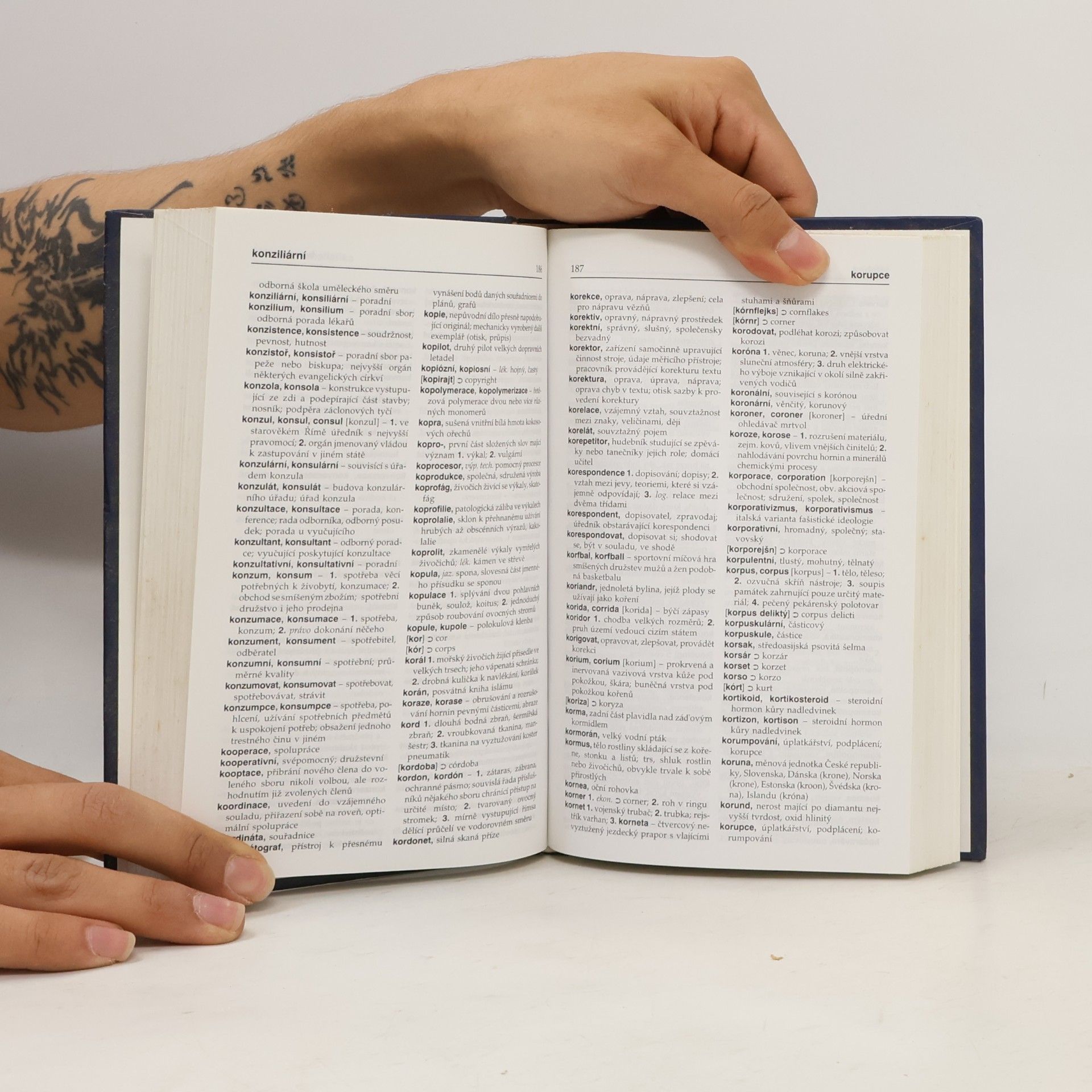 Autorenkollektiv Slovník cizích slov