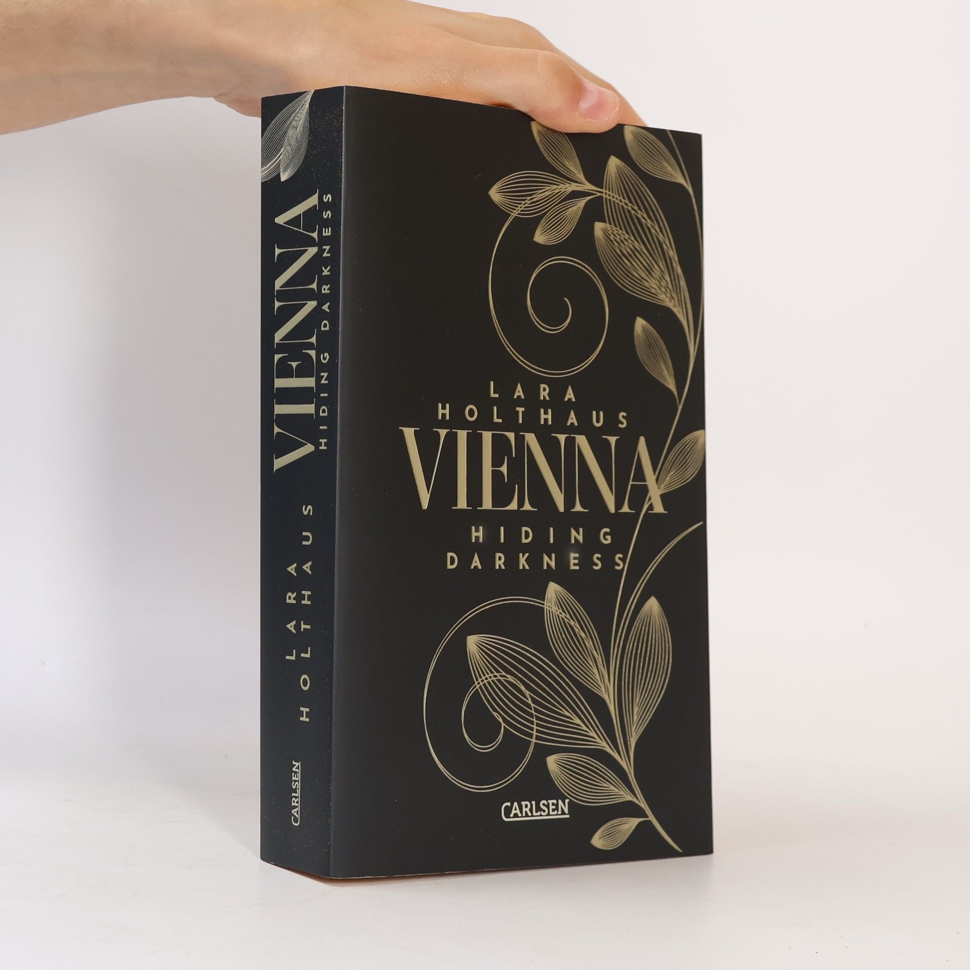 Lara Holthaus Vienna 2. Hiding Darkness