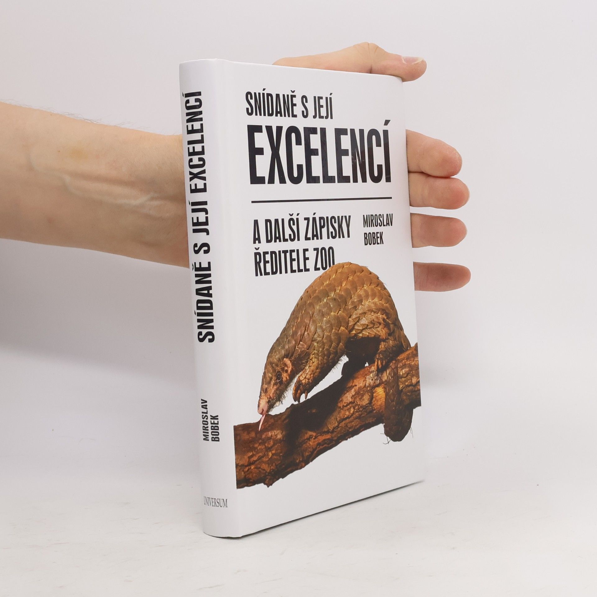Miroslav Bobek Snídaně s její excelencí